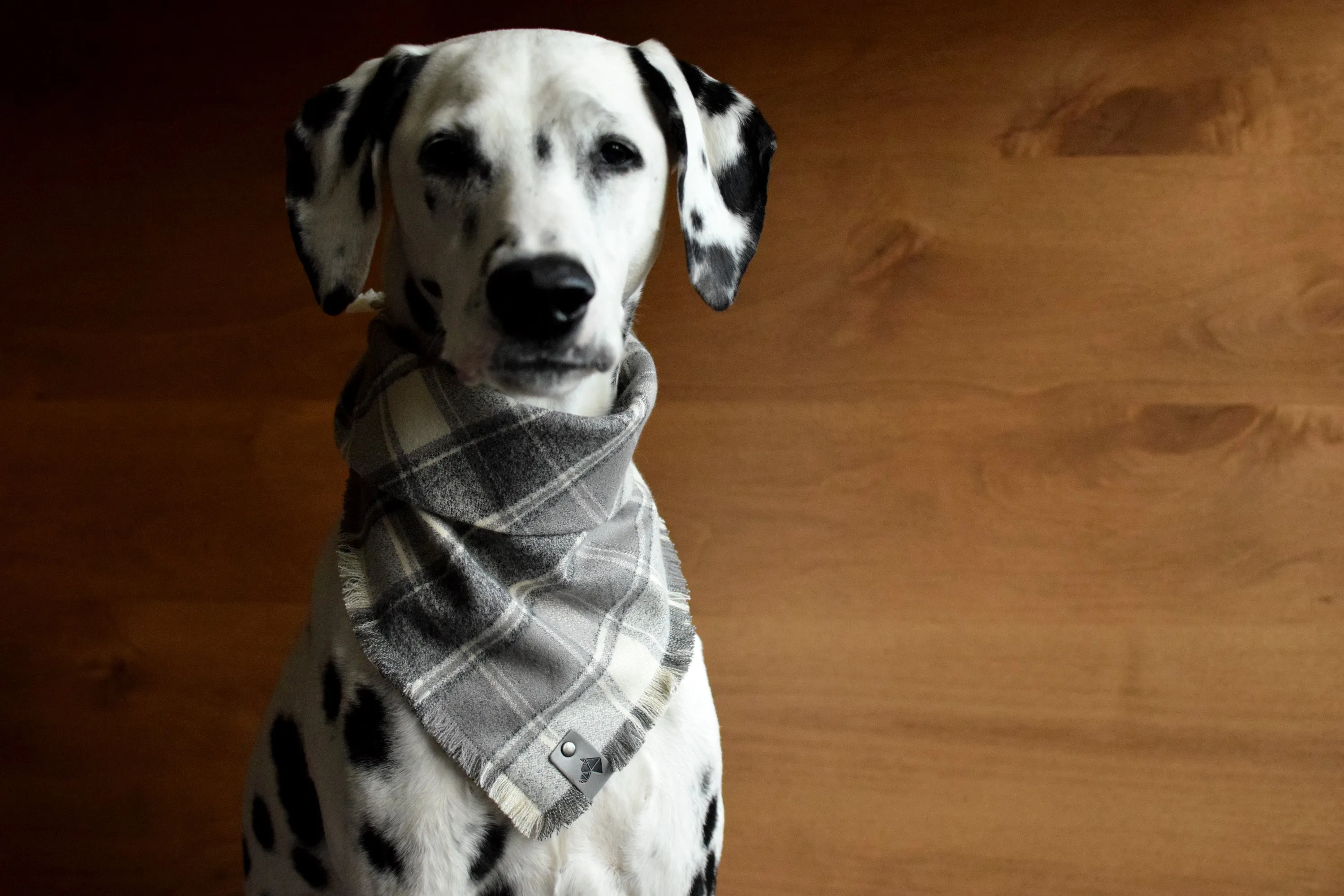 ASH Fringed Flannel Dog Bandana - Snap/Tie On Cotton Scarf