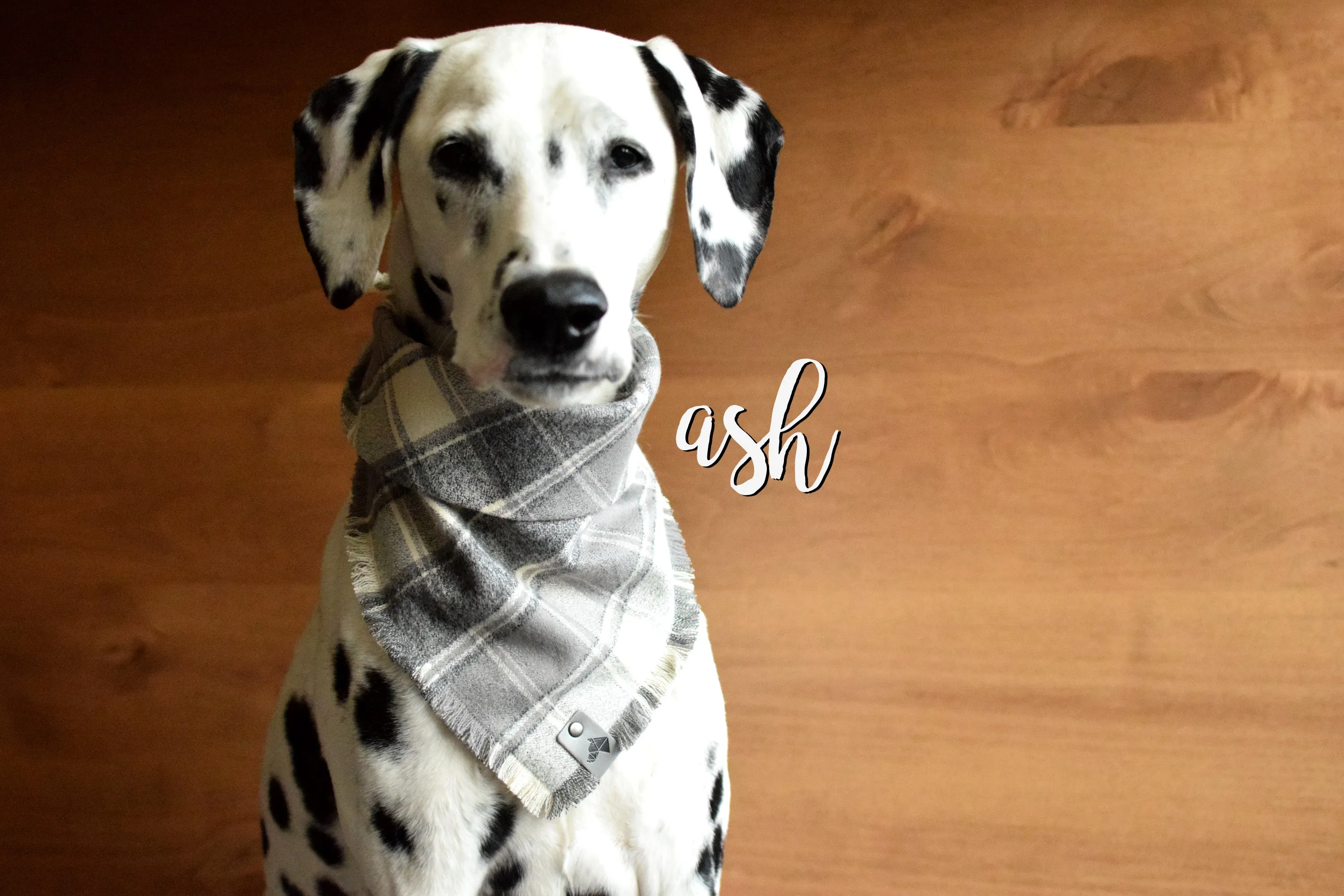 ASH Fringed Flannel Dog Bandana - Snap/Tie On Cotton Scarf