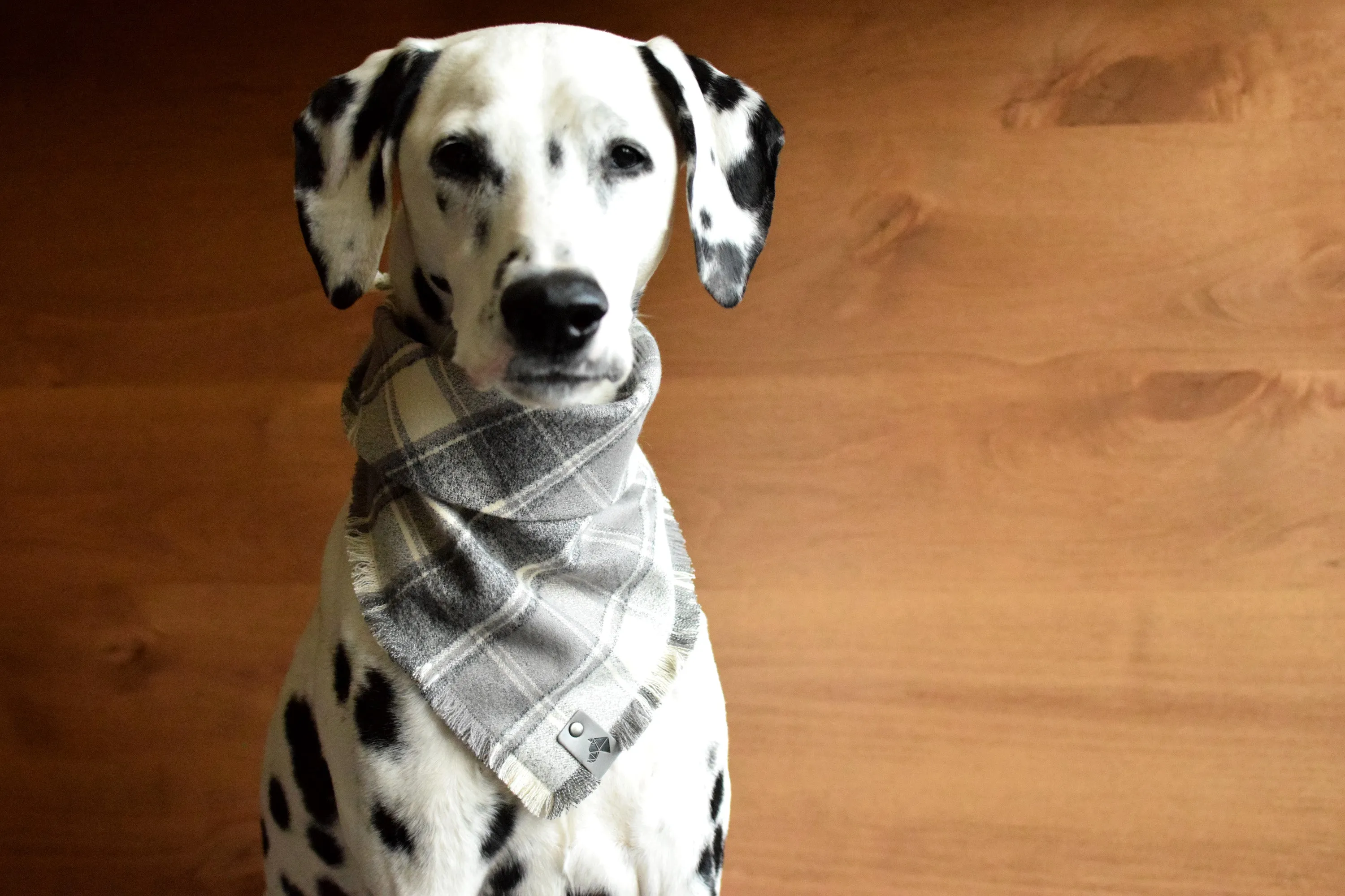 ASH Fringed Flannel Dog Bandana - Snap/Tie On Cotton Scarf