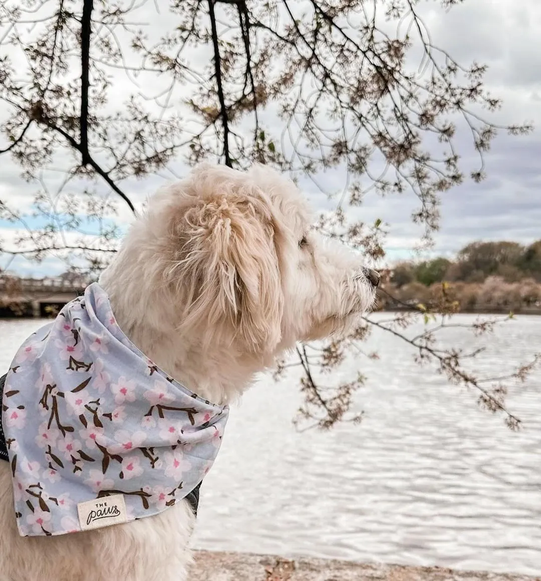 Bandanas - Cherry Blossom