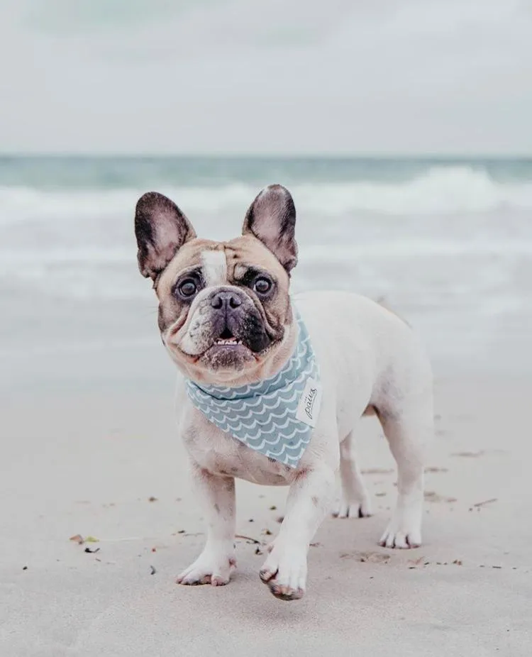 Bandanas - Perfect Wave