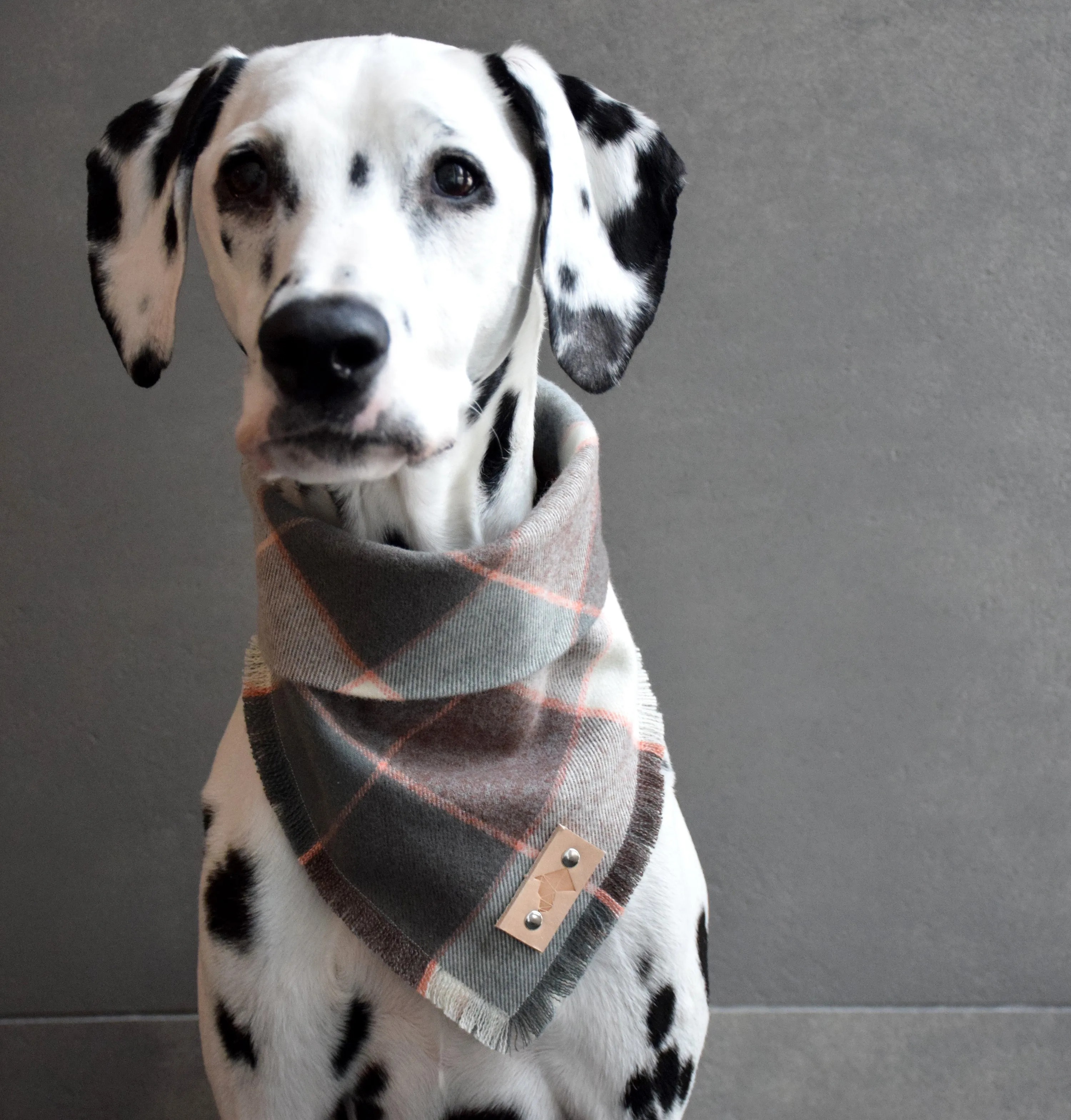 BLUSH Fringed Flannel Dog Bandana - Snap/Tie On Cotton Scarf