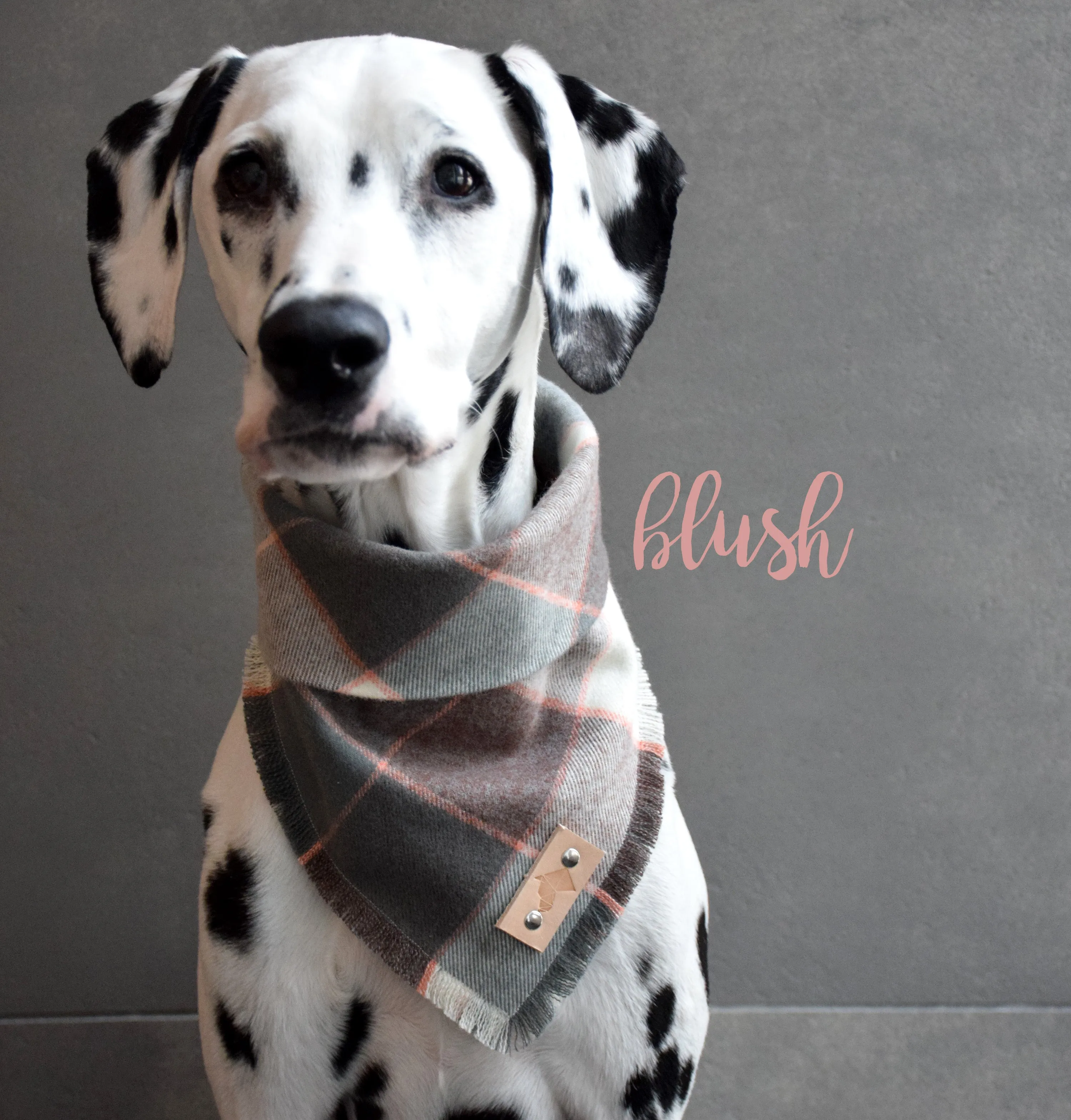 BLUSH Fringed Flannel Dog Bandana - Snap/Tie On Cotton Scarf