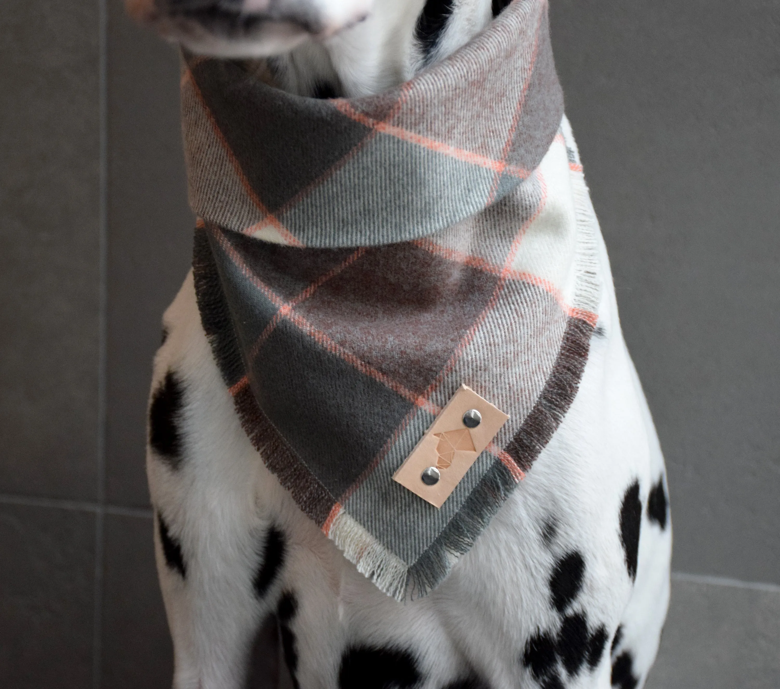 BLUSH Fringed Flannel Dog Bandana - Snap/Tie On Cotton Scarf