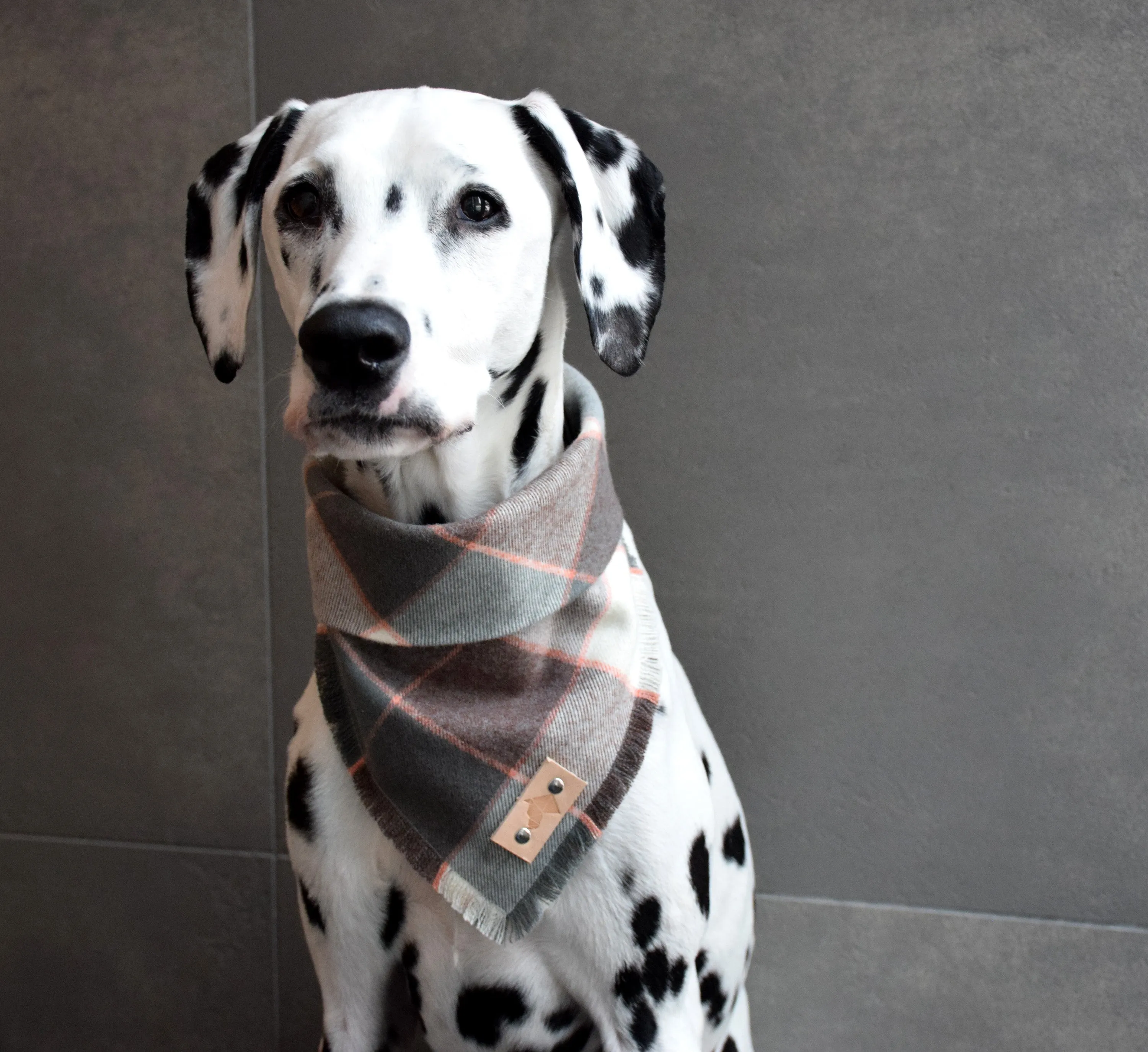 BLUSH Fringed Flannel Dog Bandana - Snap/Tie On Cotton Scarf