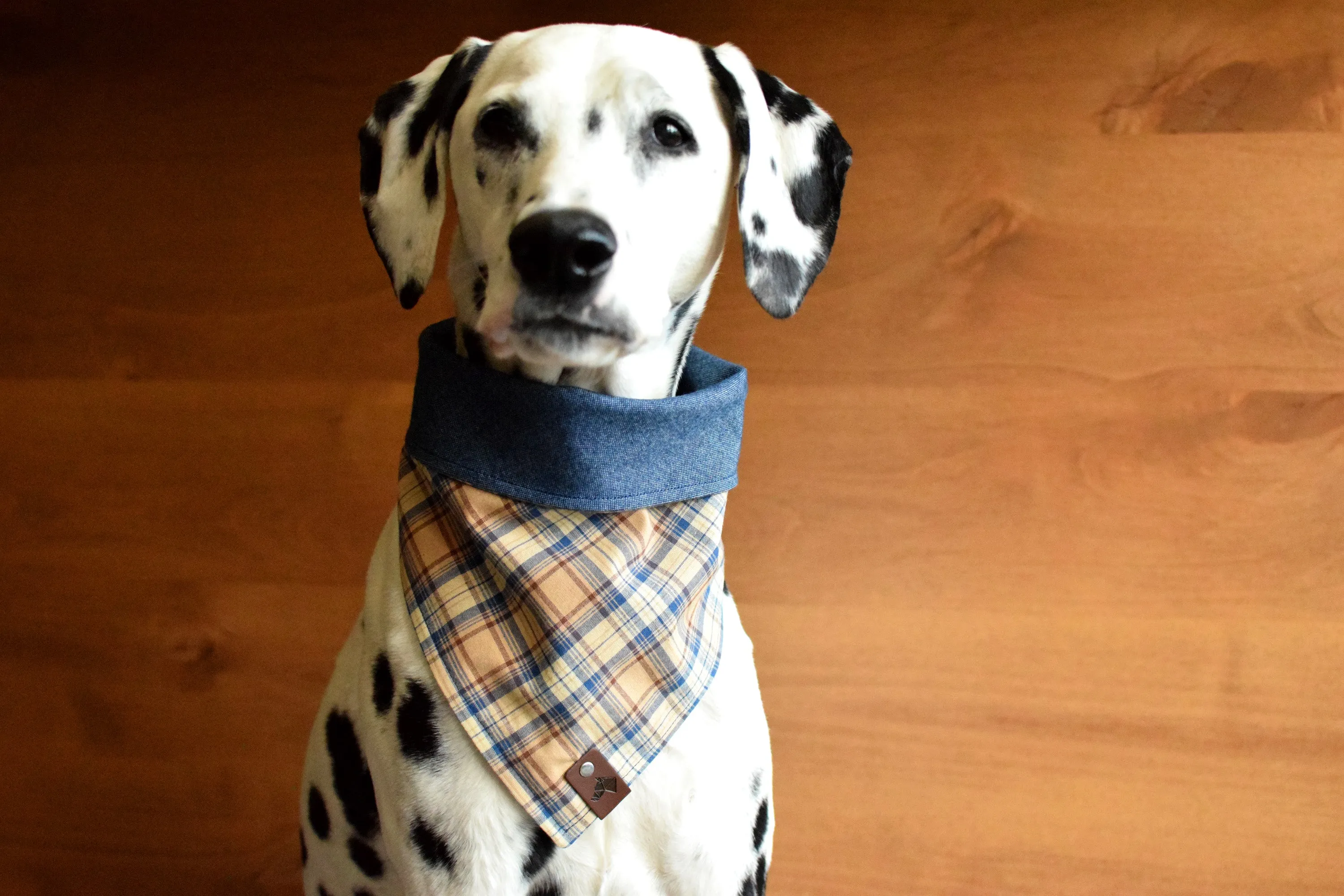 CABALLO Reversible Cotton Dog Bandana - Snap/Tie On Cotton Scarf