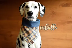 CABALLO Reversible Cotton Dog Bandana - Snap/Tie On Cotton Scarf