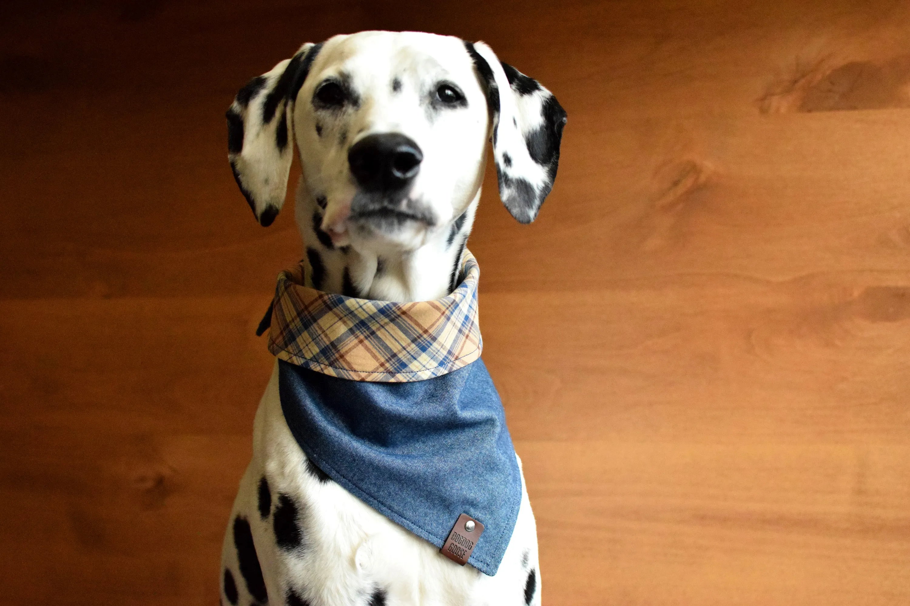 CABALLO Reversible Cotton Dog Bandana - Snap/Tie On Cotton Scarf