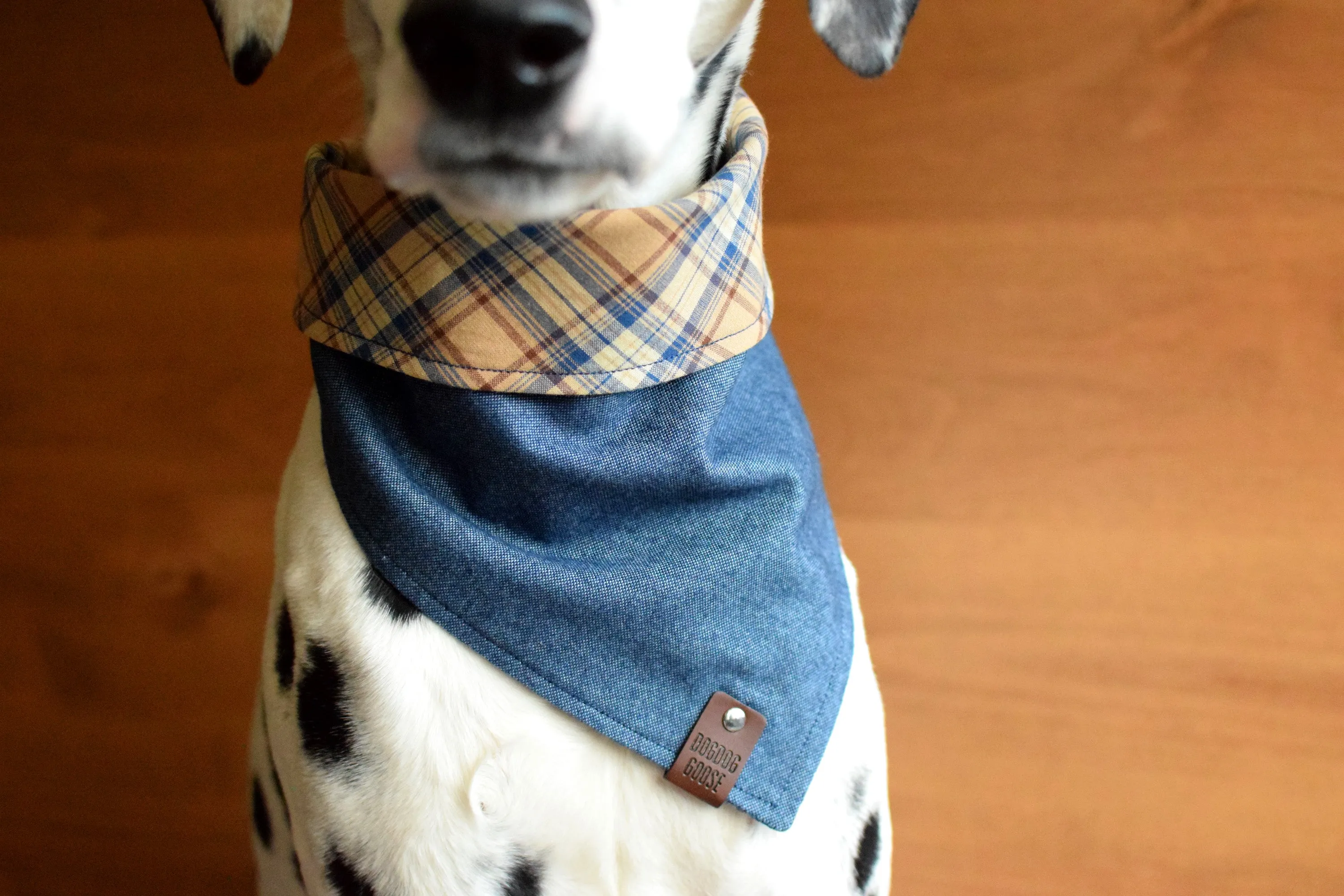 CABALLO Reversible Cotton Dog Bandana - Snap/Tie On Cotton Scarf
