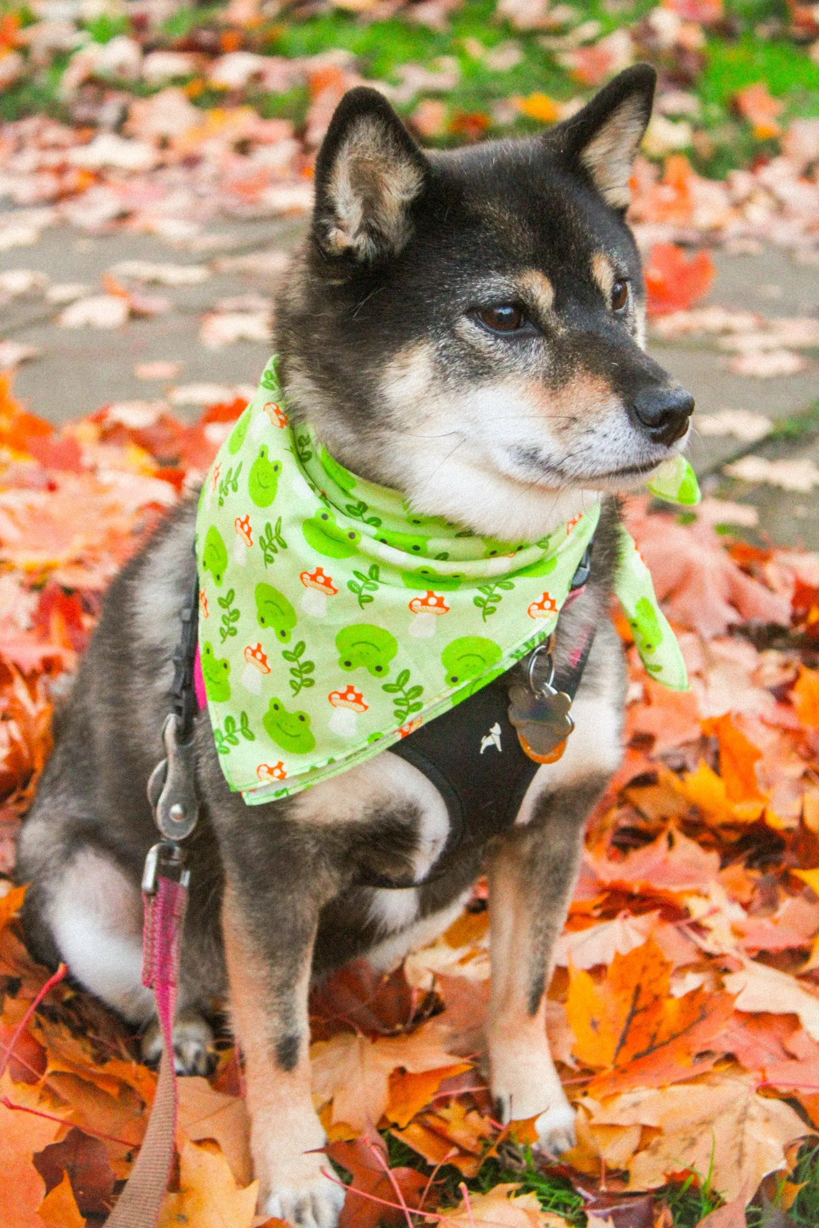 Cute Cotton Bandanas!