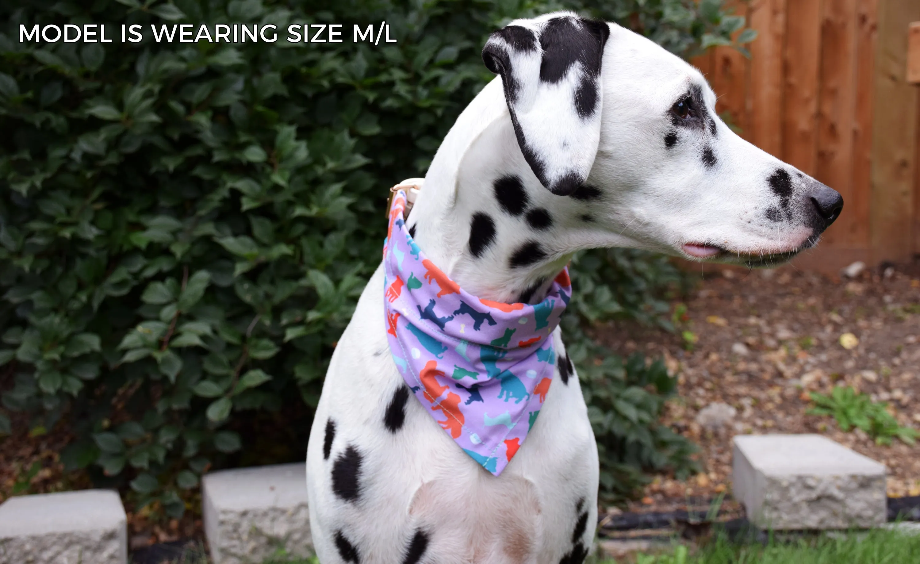 Dog Bandana - Canadian Icons Canada Day Cotton Dog Scarf