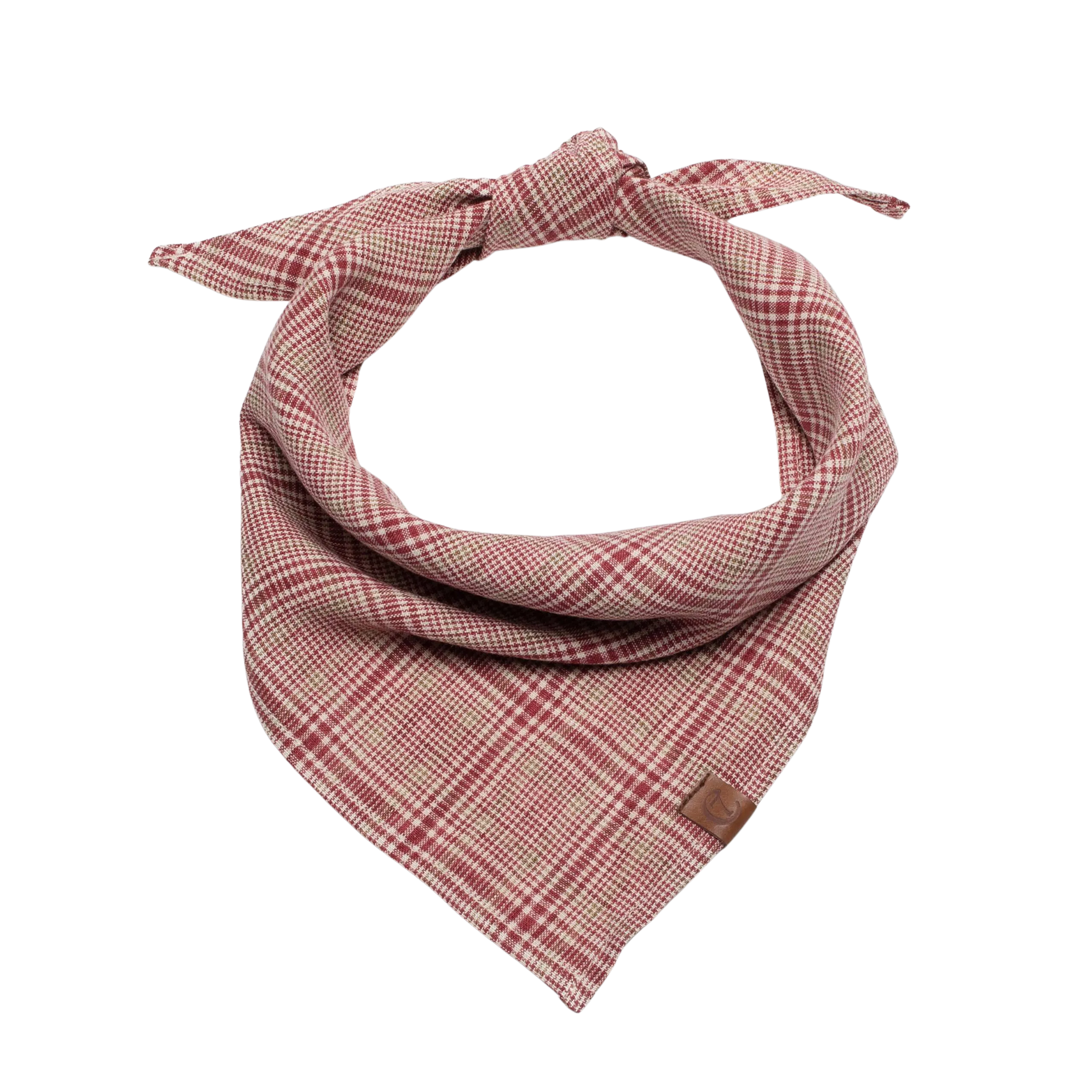 Dog Bandana Check Red - Light Green