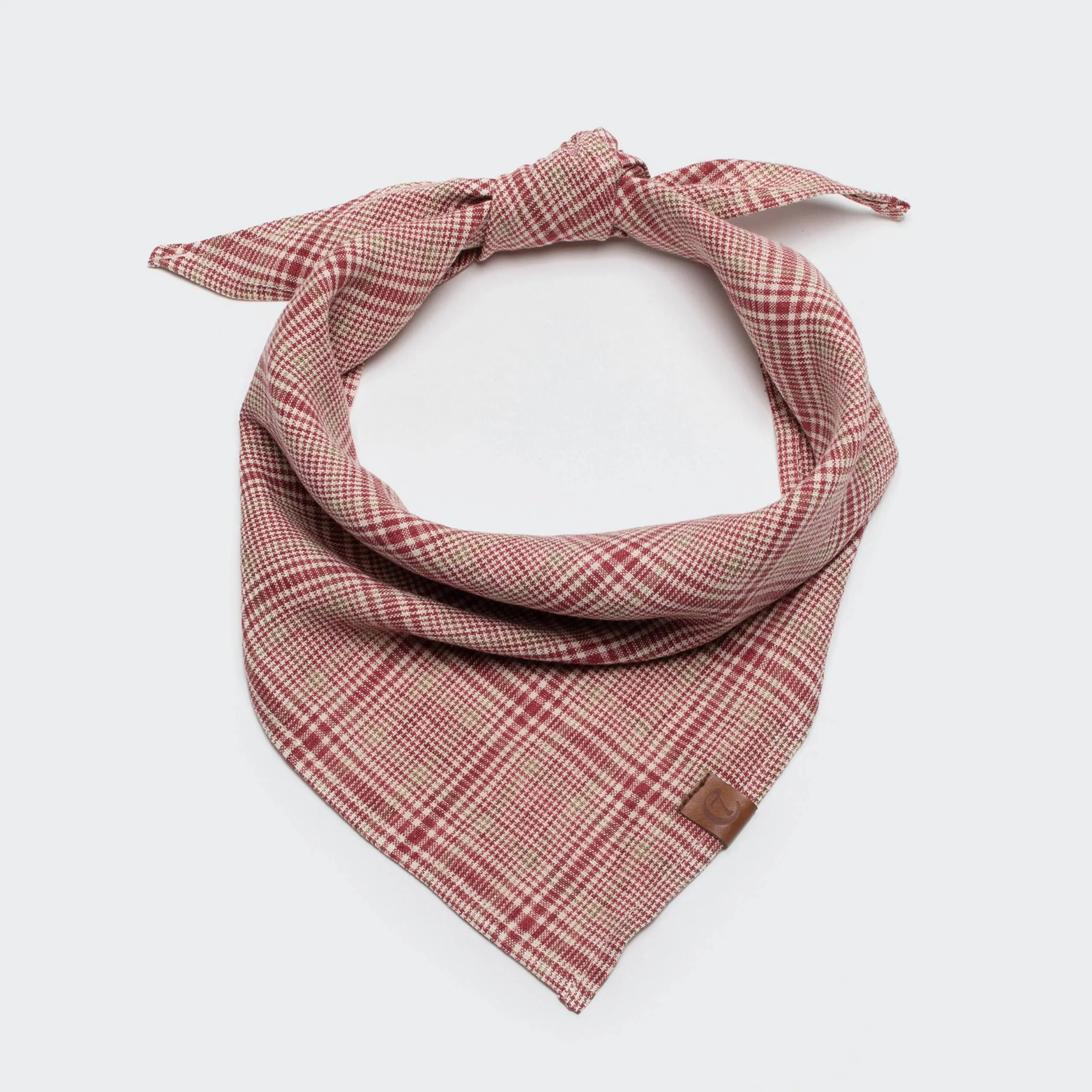 Dog Bandana Check Red - Light Green