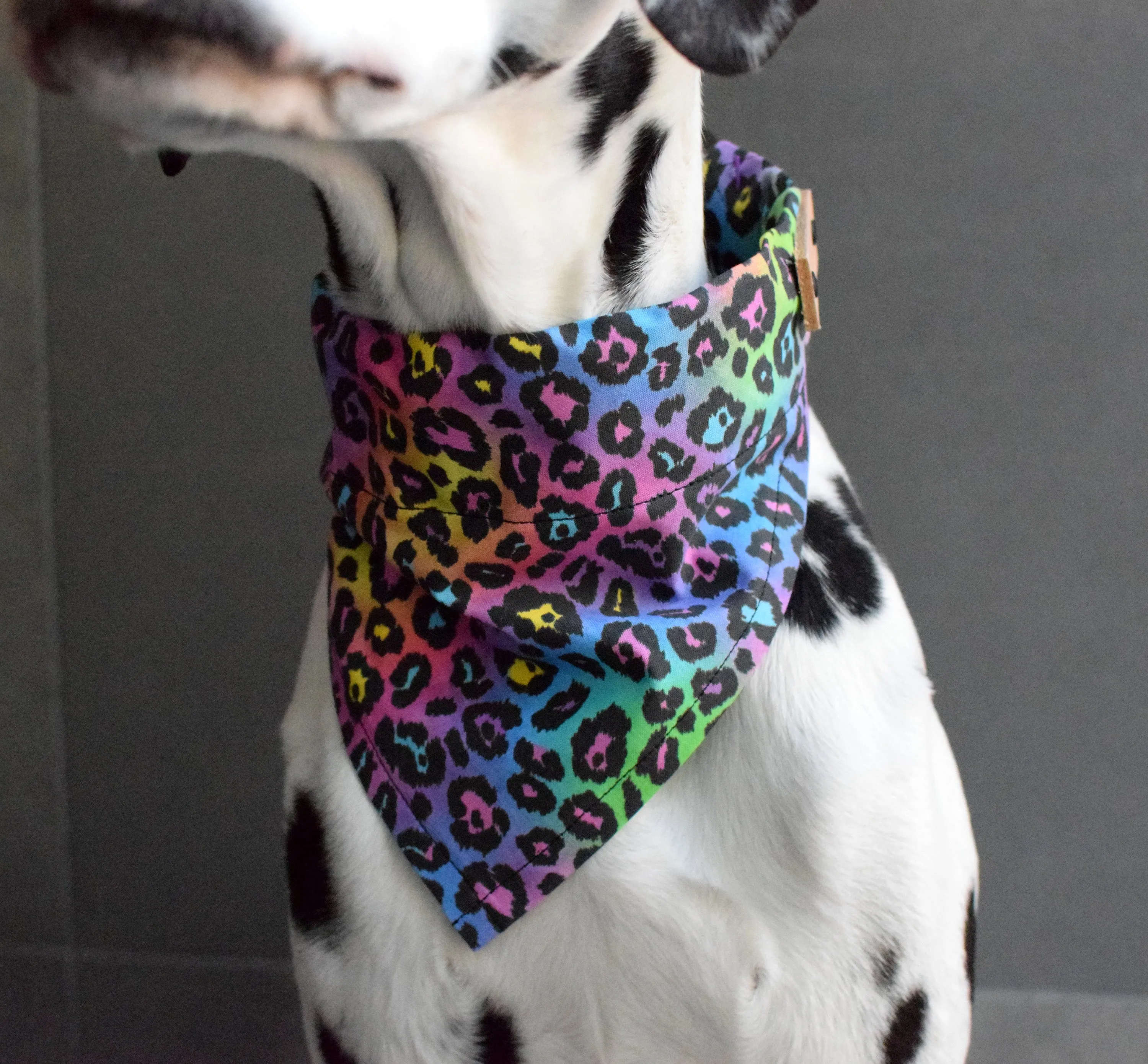 Dog Bandana - Fierce, Pride Cotton Dog Scarf