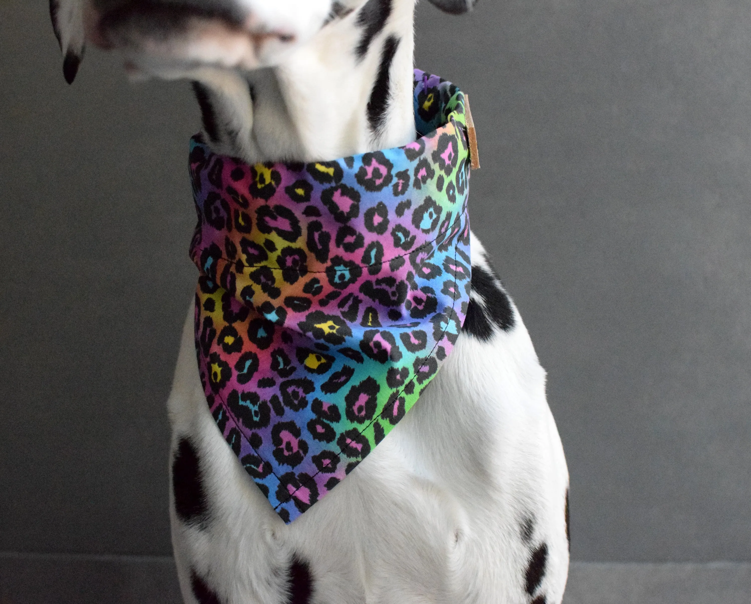 Dog Bandana - Fierce, Pride Cotton Dog Scarf