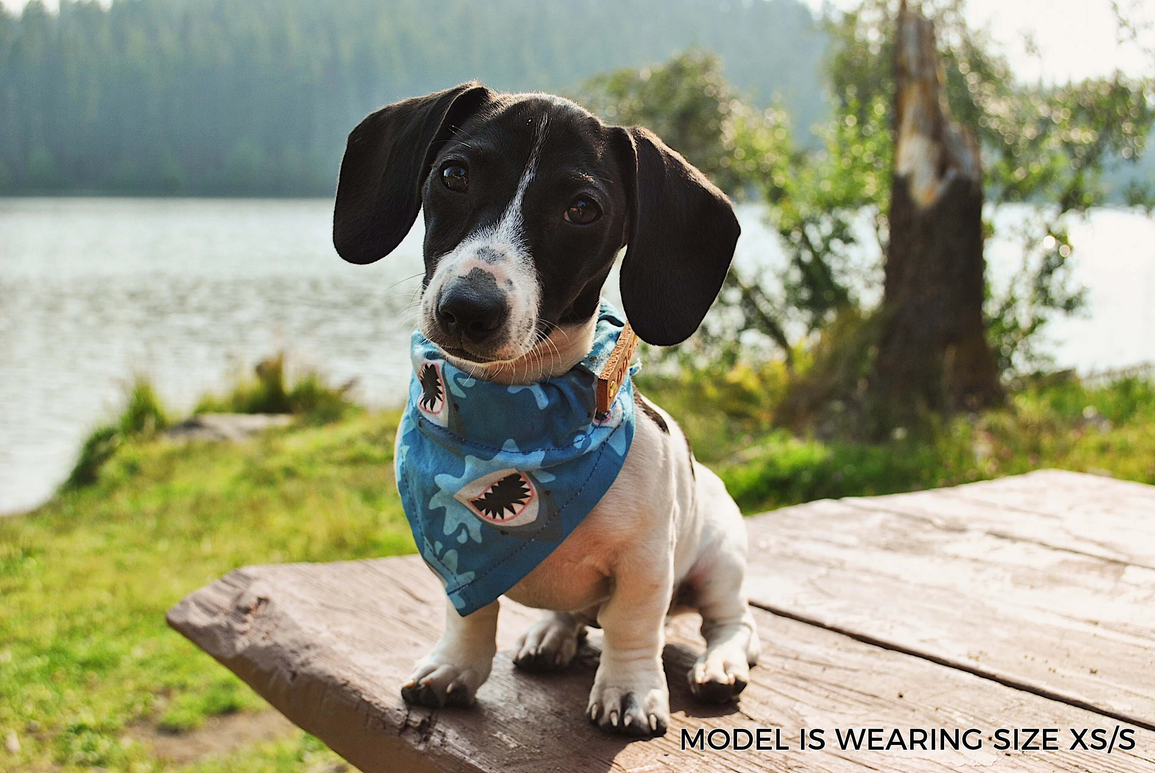 Dog Bandana - Slice of 'Za Cotton Dog Scarf