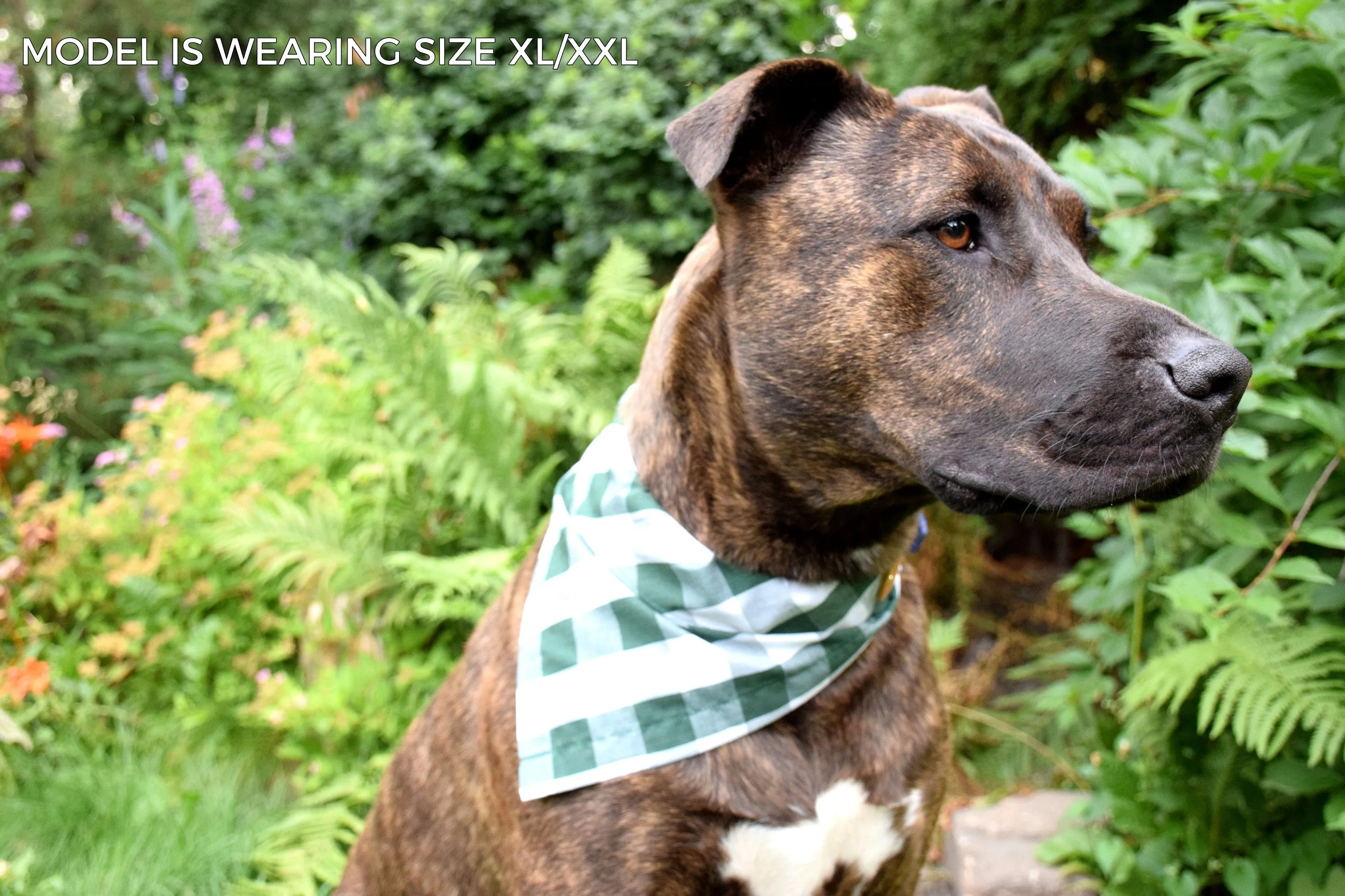 Dog Bandana - Slice of 'Za Cotton Dog Scarf