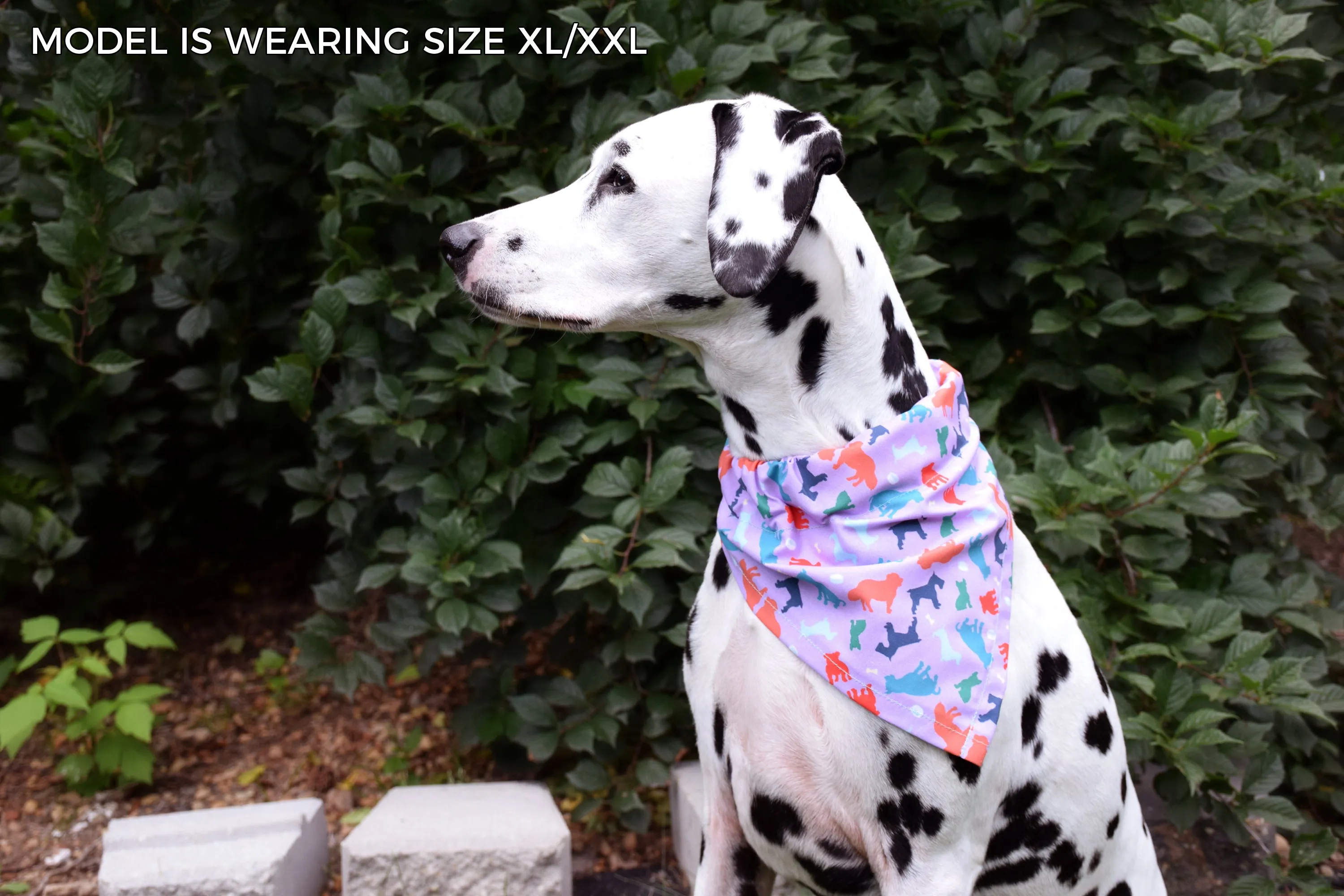 Dog Bandana - Slice of 'Za Cotton Dog Scarf
