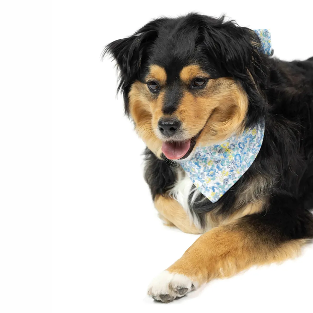 Dog Neckwear Love Leo Floral