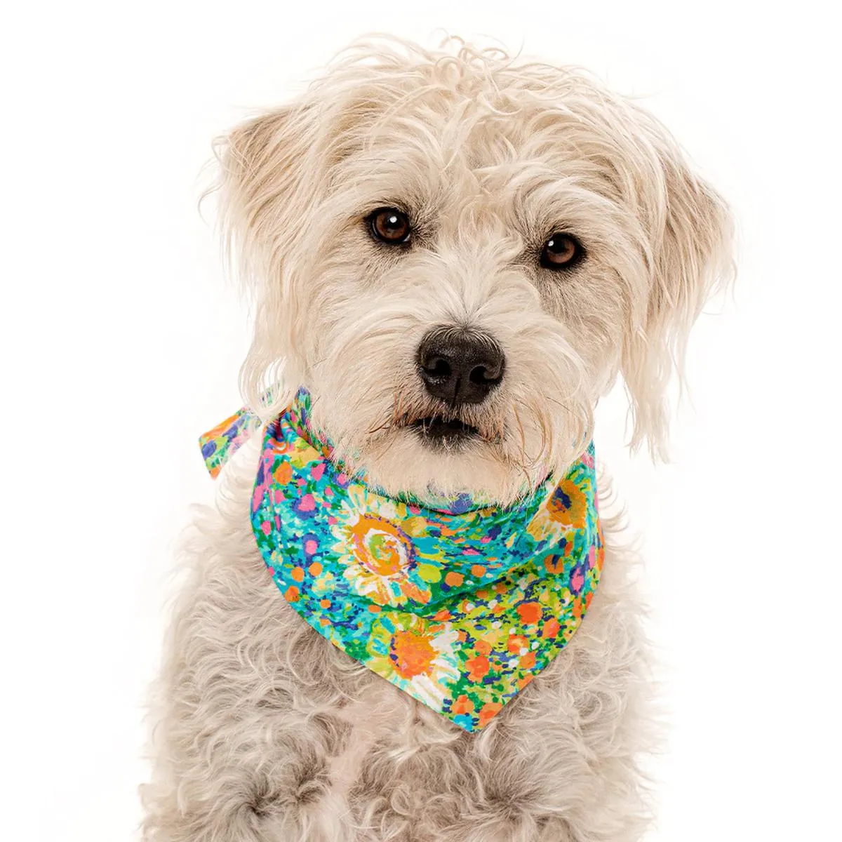 Dog Neckwear Meadow Floral