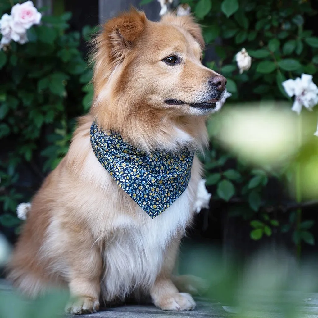 Dog Neckwear Midnight Floral