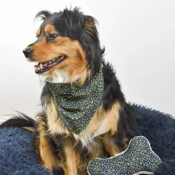 Dog Neckwear Midnight Floral