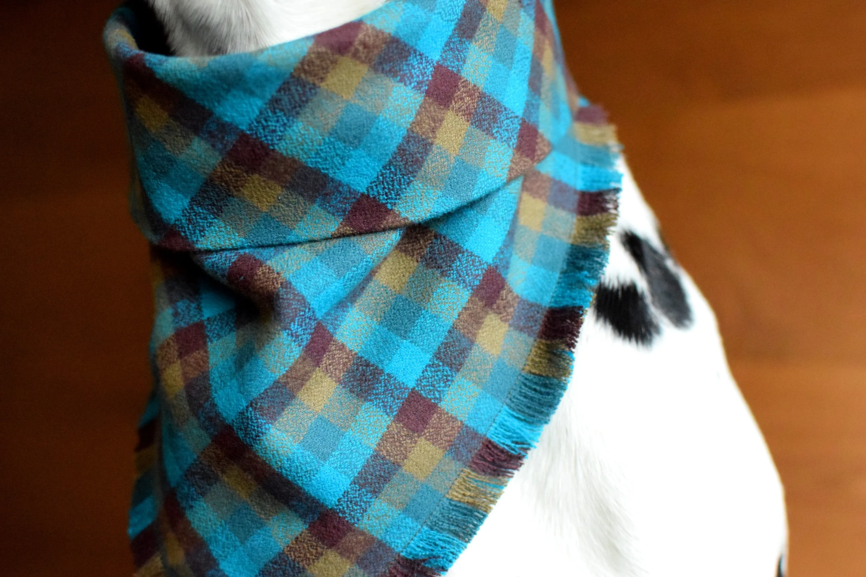EVERGREEN Fringed Flannel Dog Bandana - Snap/Tie On Cotton Scarf