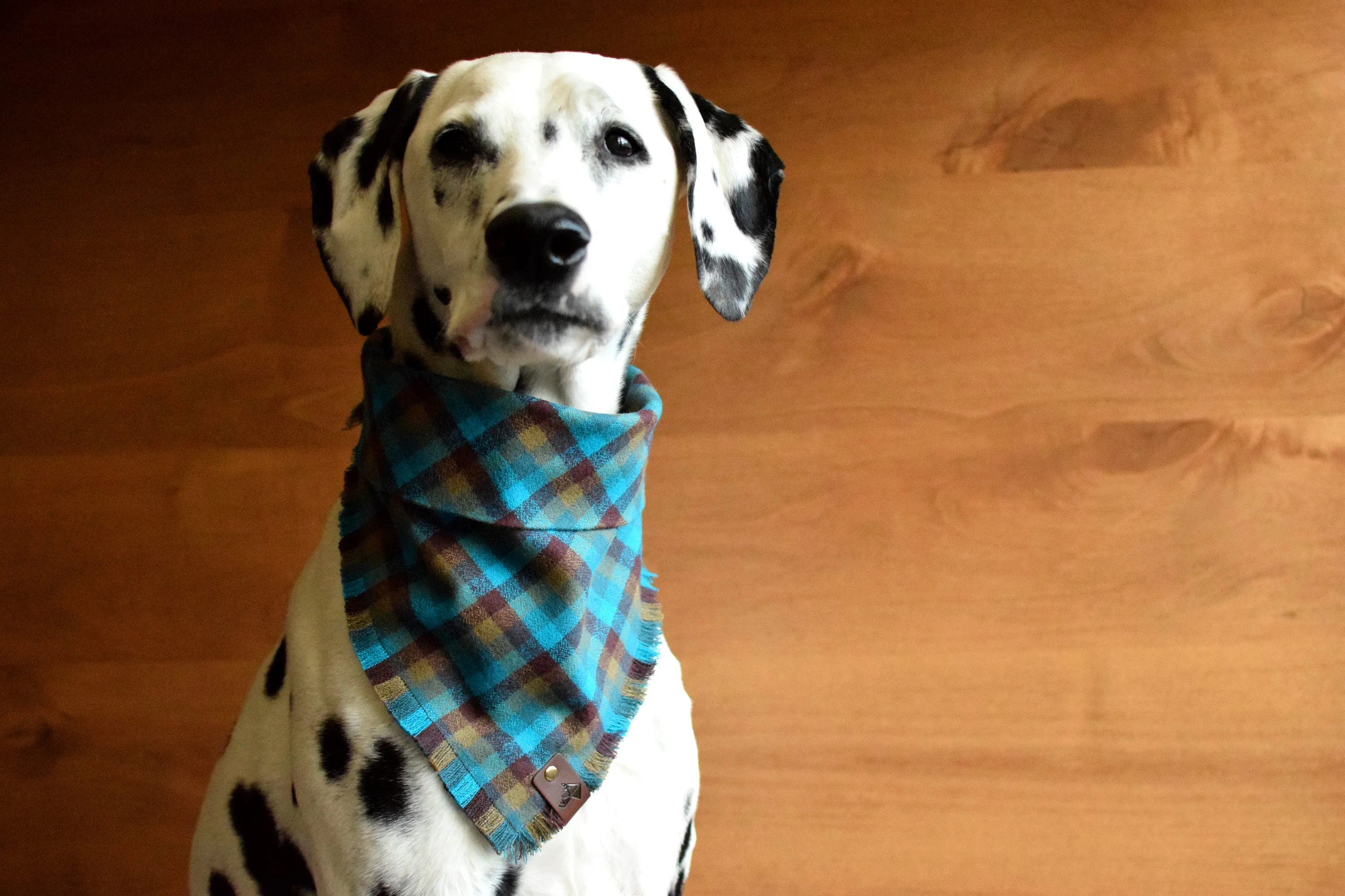 EVERGREEN Fringed Flannel Dog Bandana - Snap/Tie On Cotton Scarf