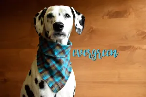 EVERGREEN Fringed Flannel Dog Bandana - Snap/Tie On Cotton Scarf