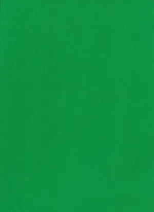 Green Jersey Knit Stretched Fabric Slip On Headwrap