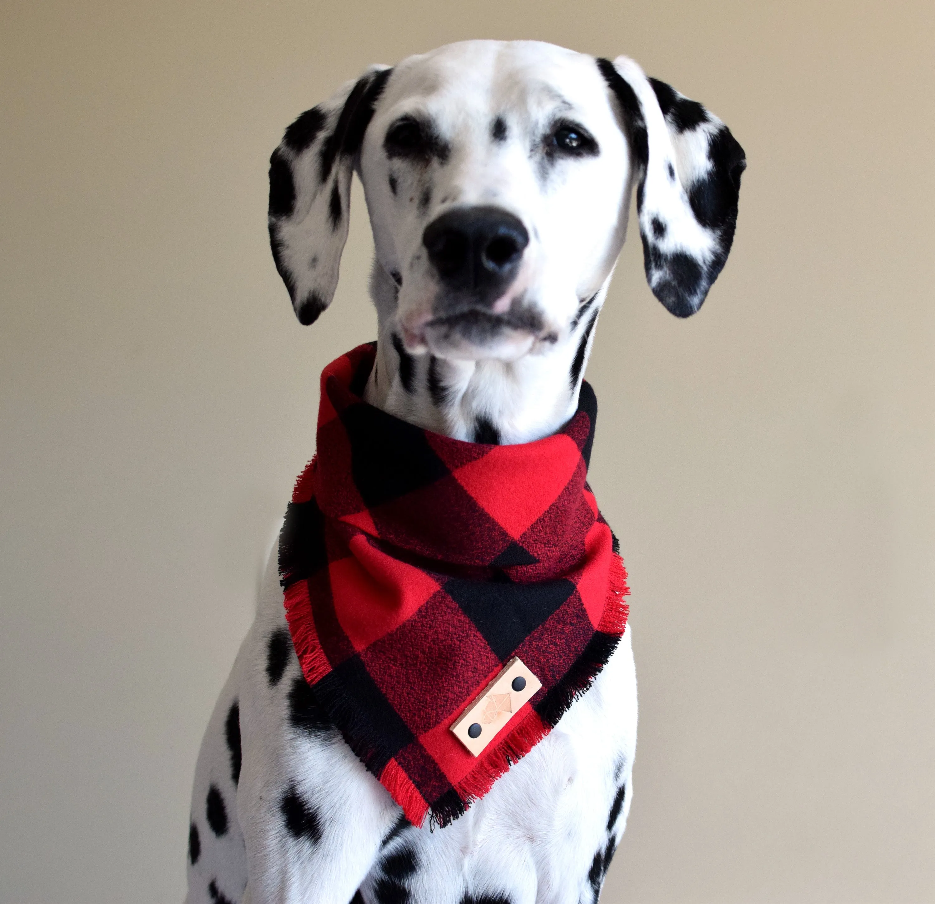 HOBBS Fringed Flannel Dog Bandana - Snap/Tie On Cotton Scarf