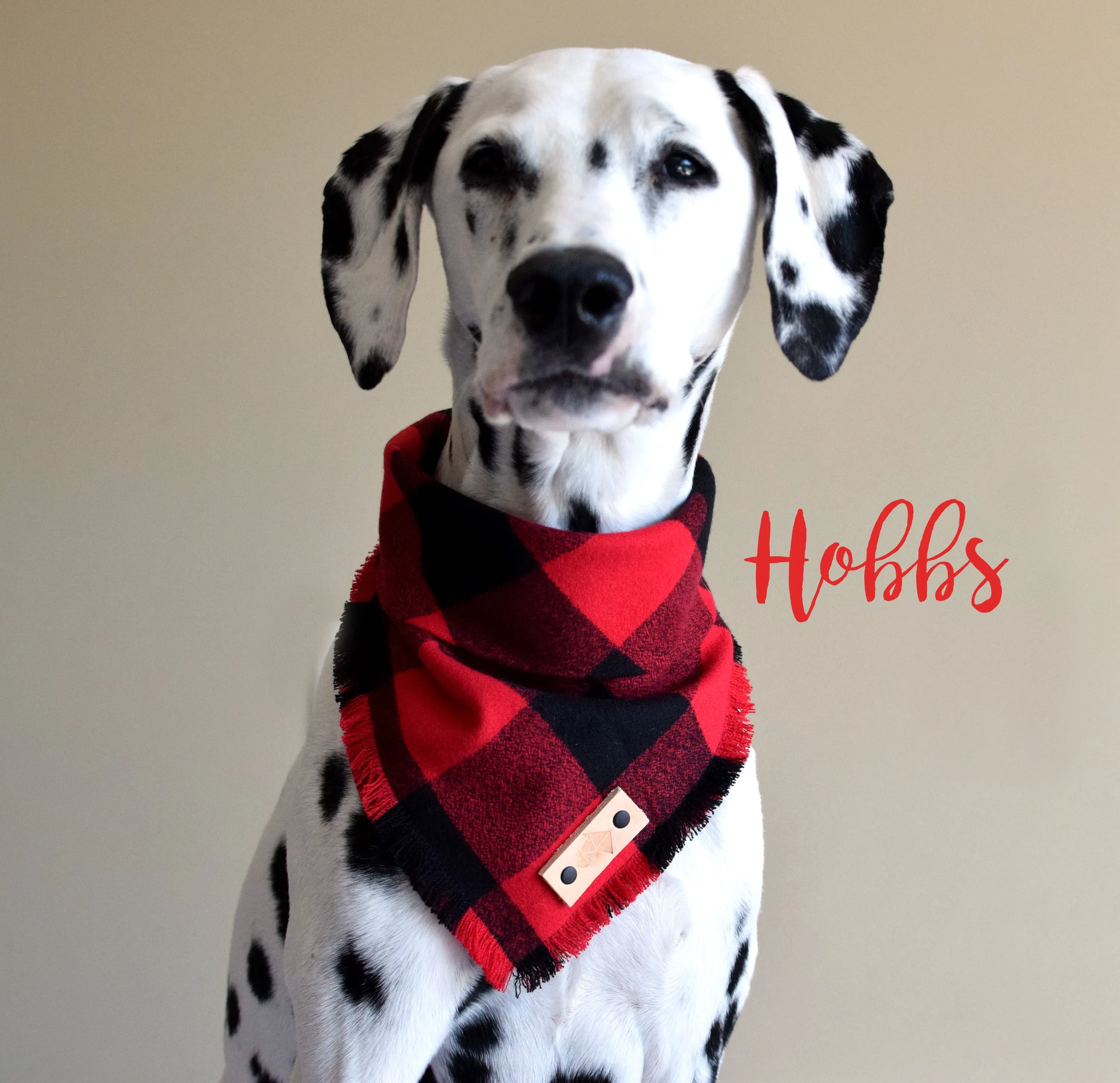 HOBBS Fringed Flannel Dog Bandana - Snap/Tie On Cotton Scarf