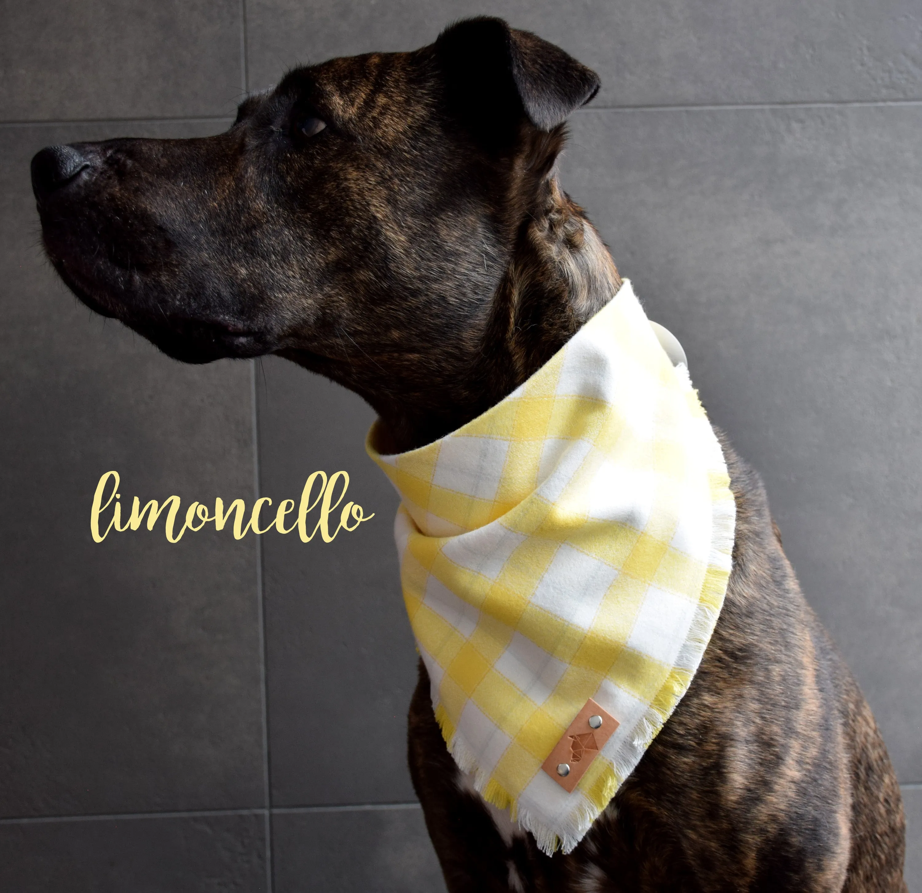 LIMONCELLO Fringed Flannel Dog Bandana - Snap/Tie On Cotton Scarf