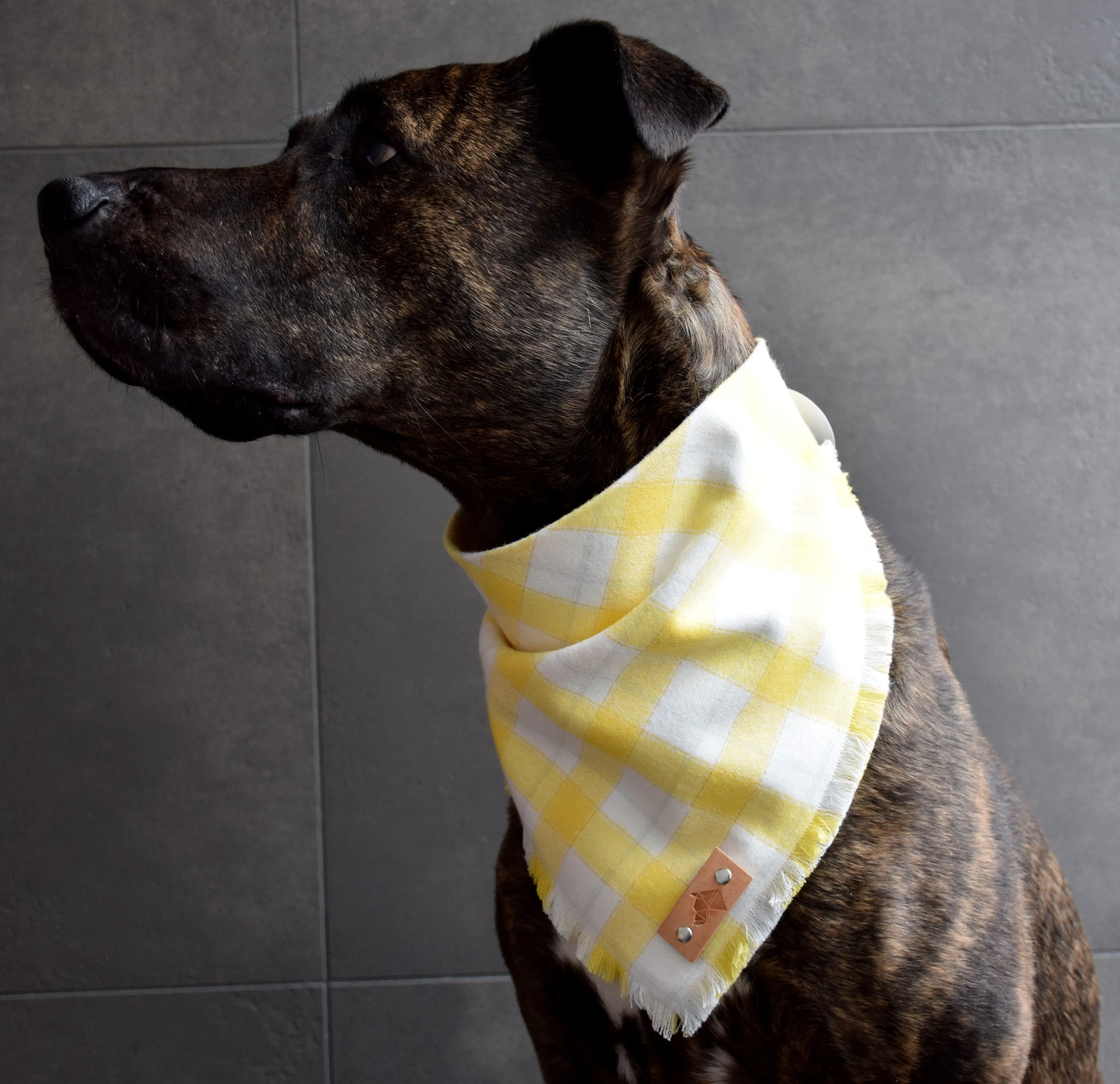LIMONCELLO Fringed Flannel Dog Bandana - Snap/Tie On Cotton Scarf