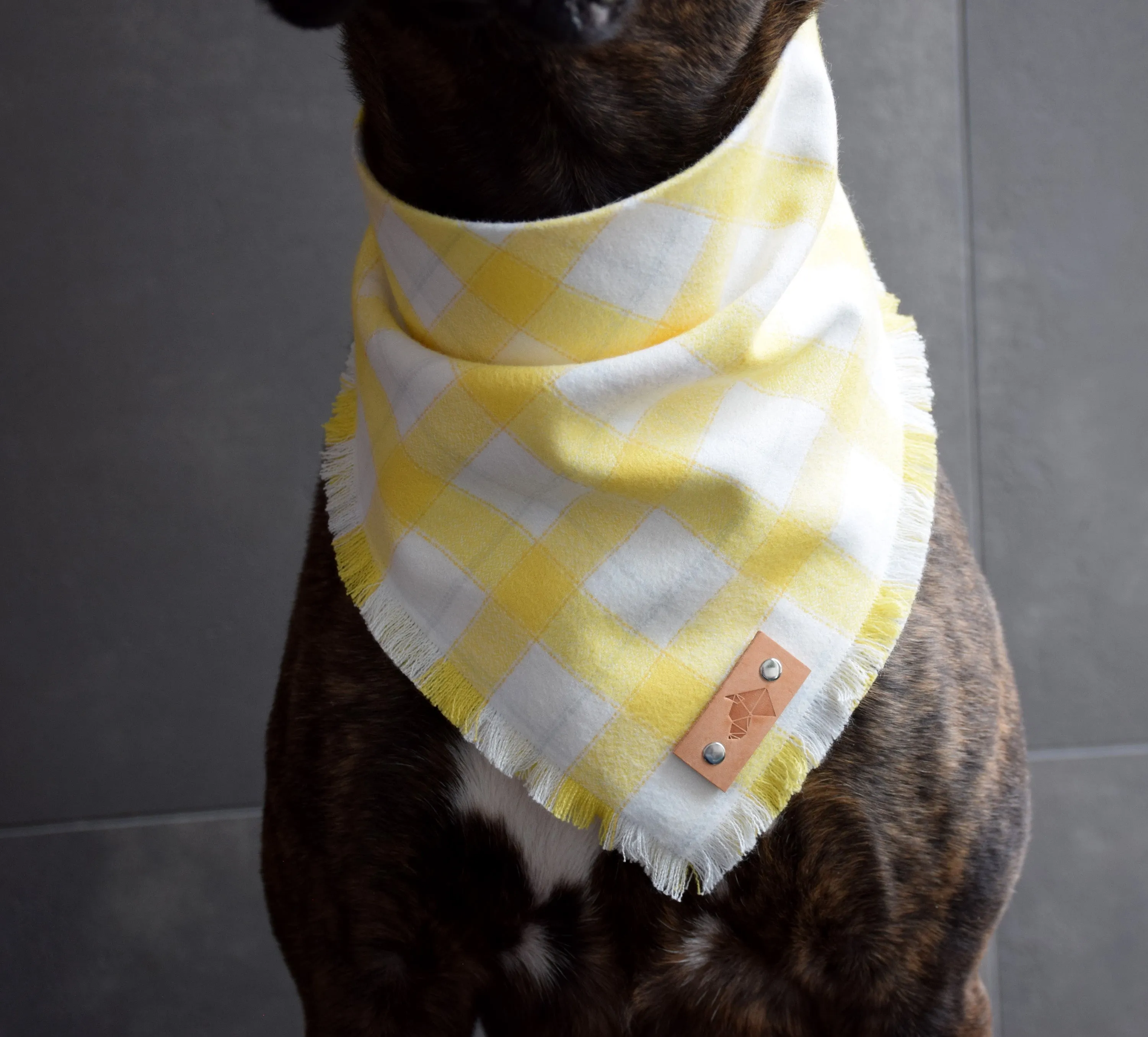 LIMONCELLO Fringed Flannel Dog Bandana - Snap/Tie On Cotton Scarf