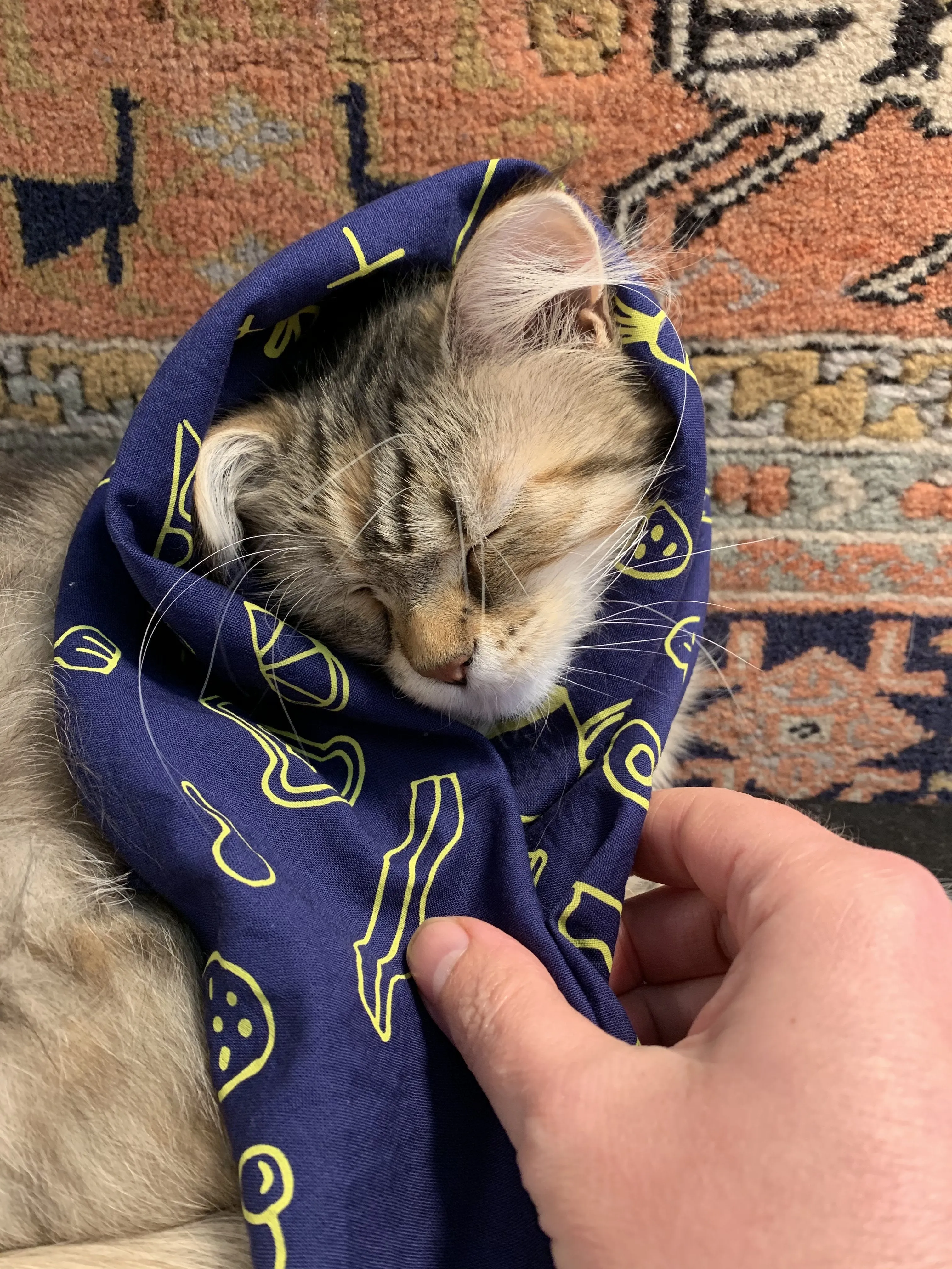 "No Kid Hungry" Fundraiser Bandana (ENDED)