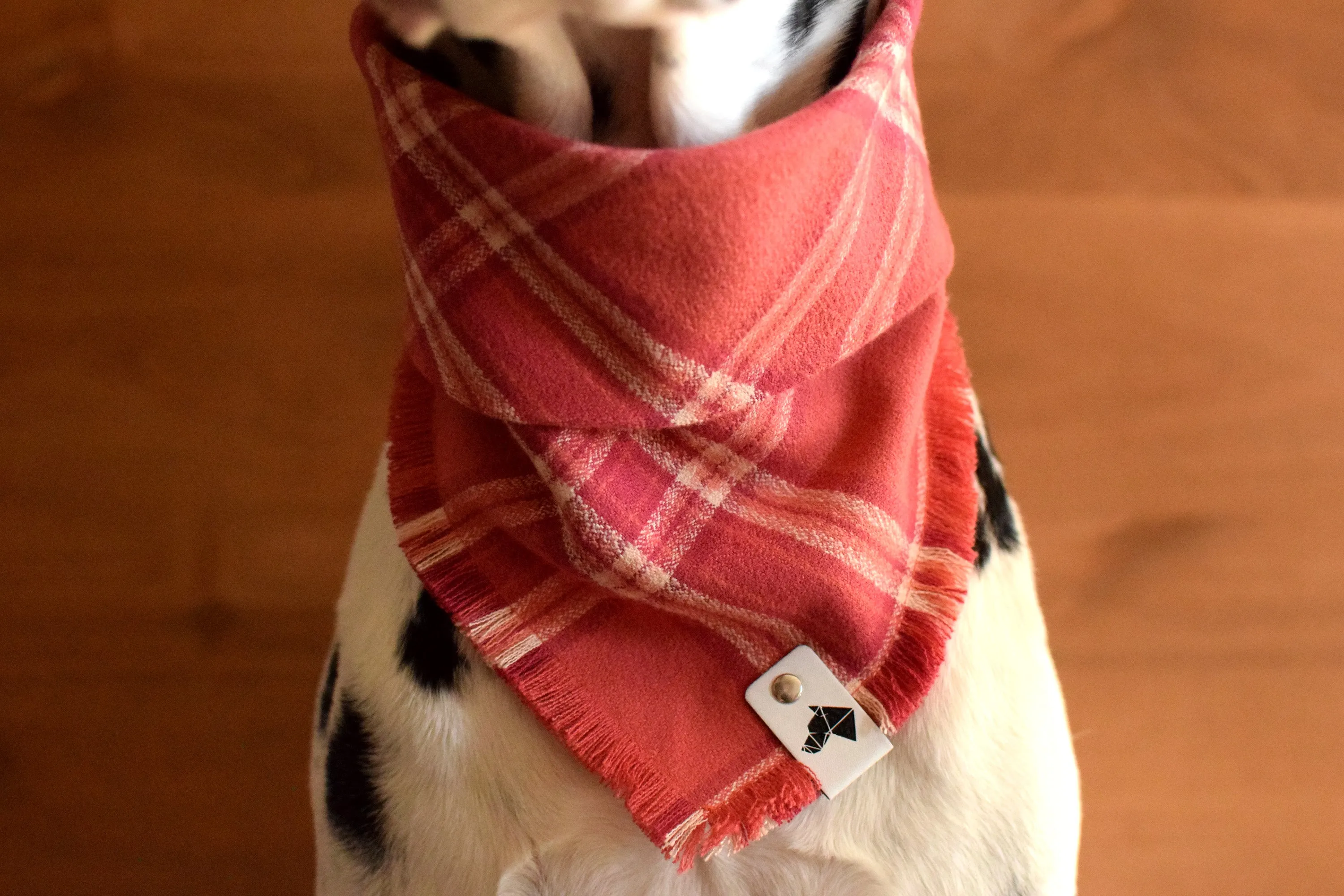 ROSÉ Fringed Flannel Dog Bandana - Snap/Tie On Cotton Scarf