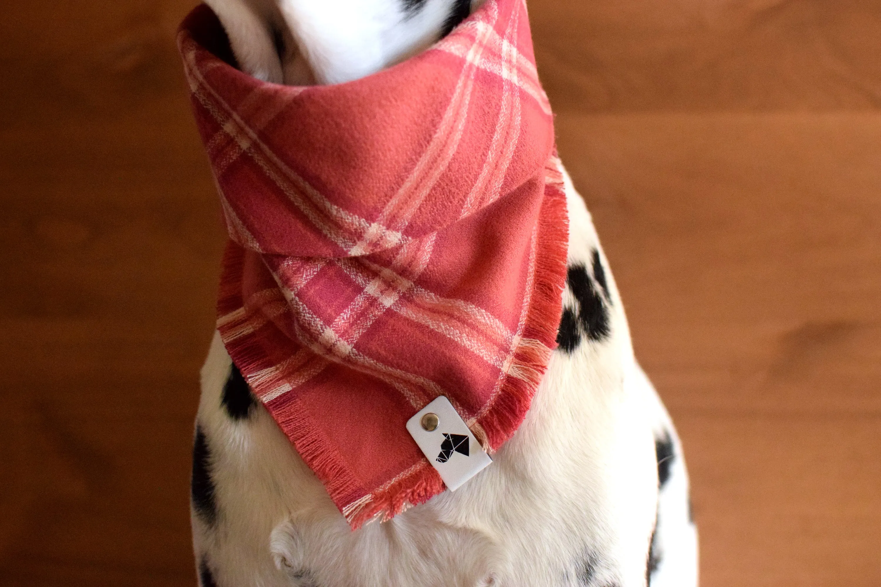 ROSÉ Fringed Flannel Dog Bandana - Snap/Tie On Cotton Scarf