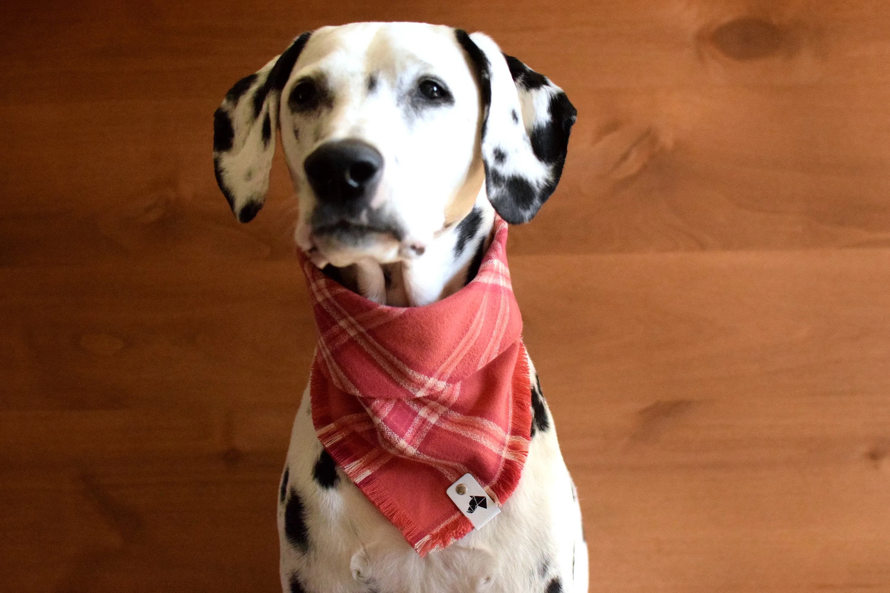 ROSÉ Fringed Flannel Dog Bandana - Snap/Tie On Cotton Scarf