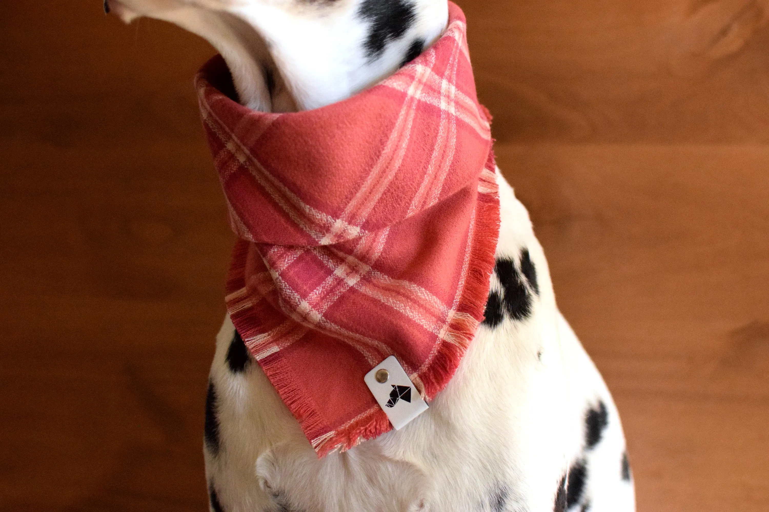 ROSÉ Fringed Flannel Dog Bandana - Snap/Tie On Cotton Scarf