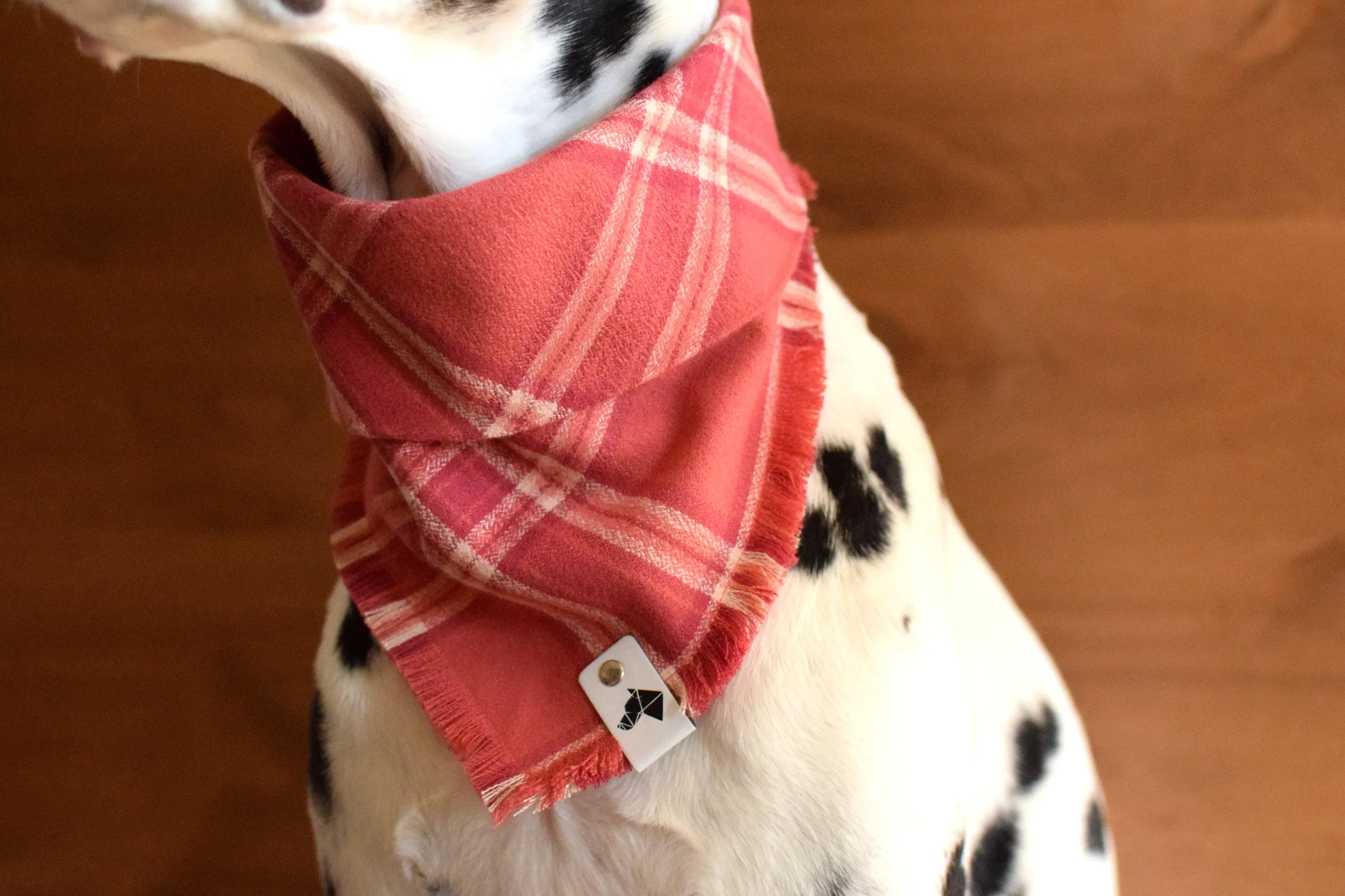 ROSÉ Fringed Flannel Dog Bandana - Snap/Tie On Cotton Scarf