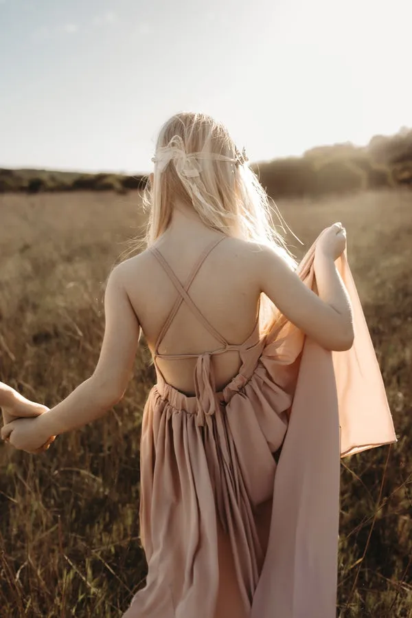 Sofia Dusty Pink French Chiffon Dress