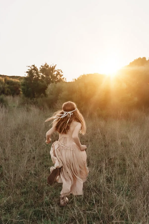 Sofia French Chiffon Blush Girls Dress