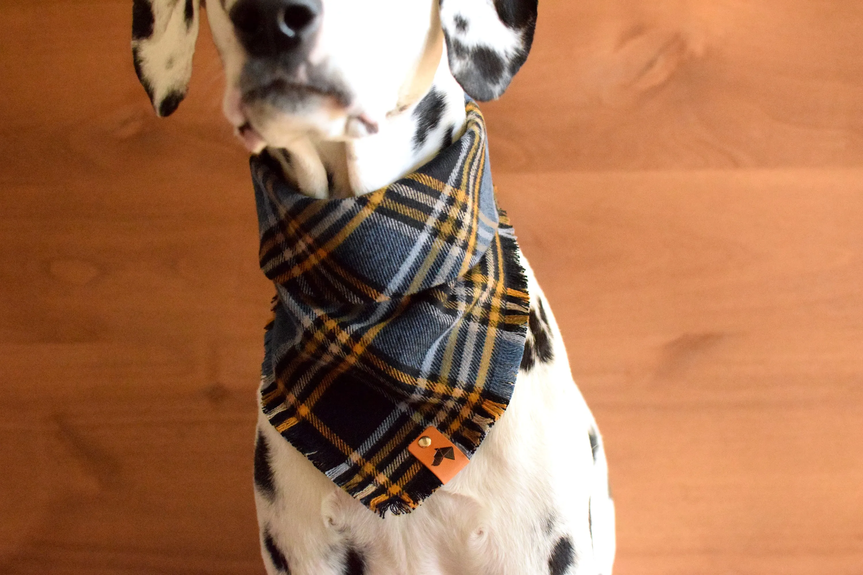 WARWICK Fringed Flannel Dog Bandana - Snap/Tie On Cotton Scarf