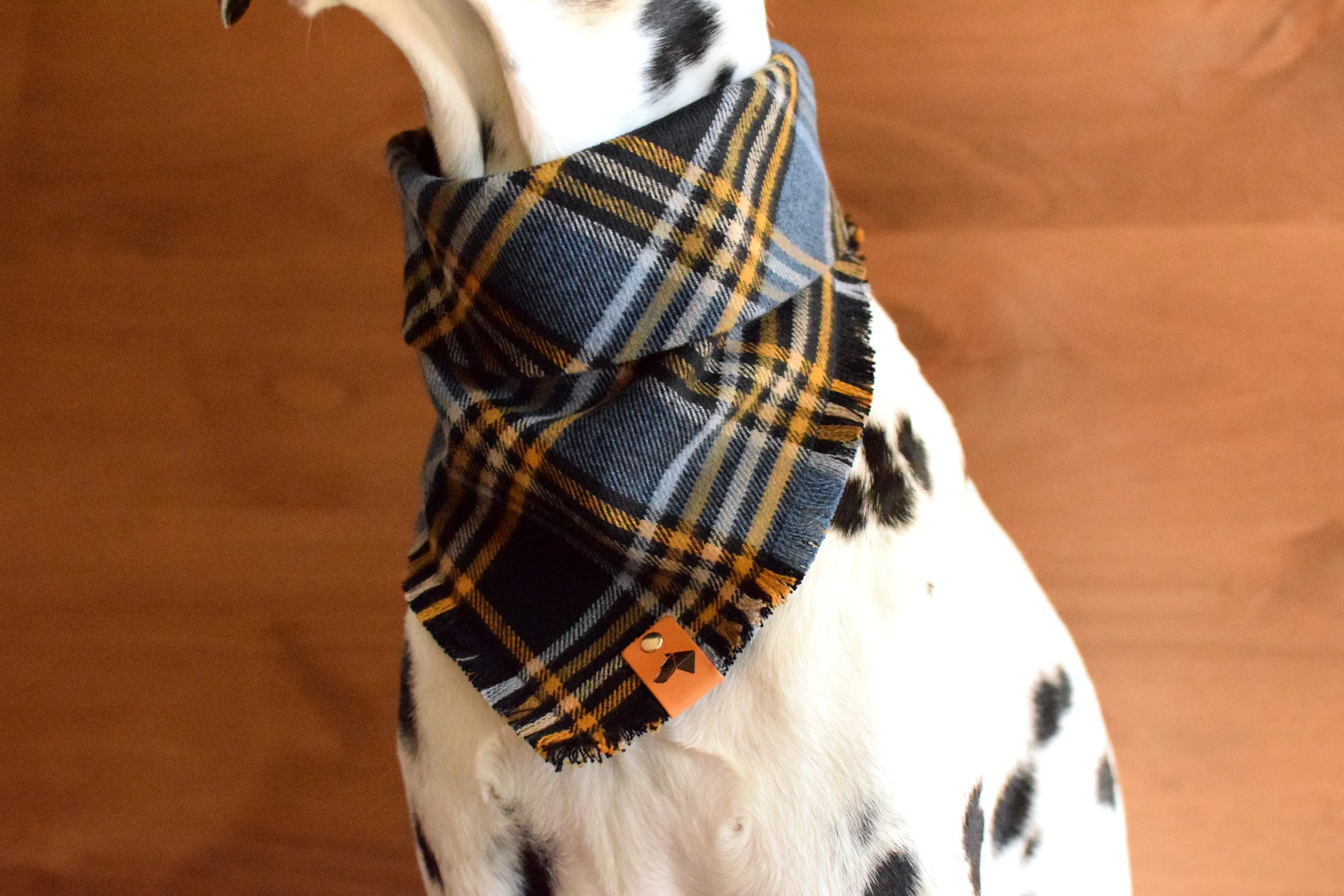 WARWICK Fringed Flannel Dog Bandana - Snap/Tie On Cotton Scarf