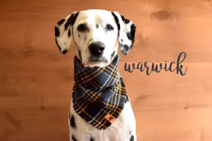 WARWICK Fringed Flannel Dog Bandana - Snap/Tie On Cotton Scarf