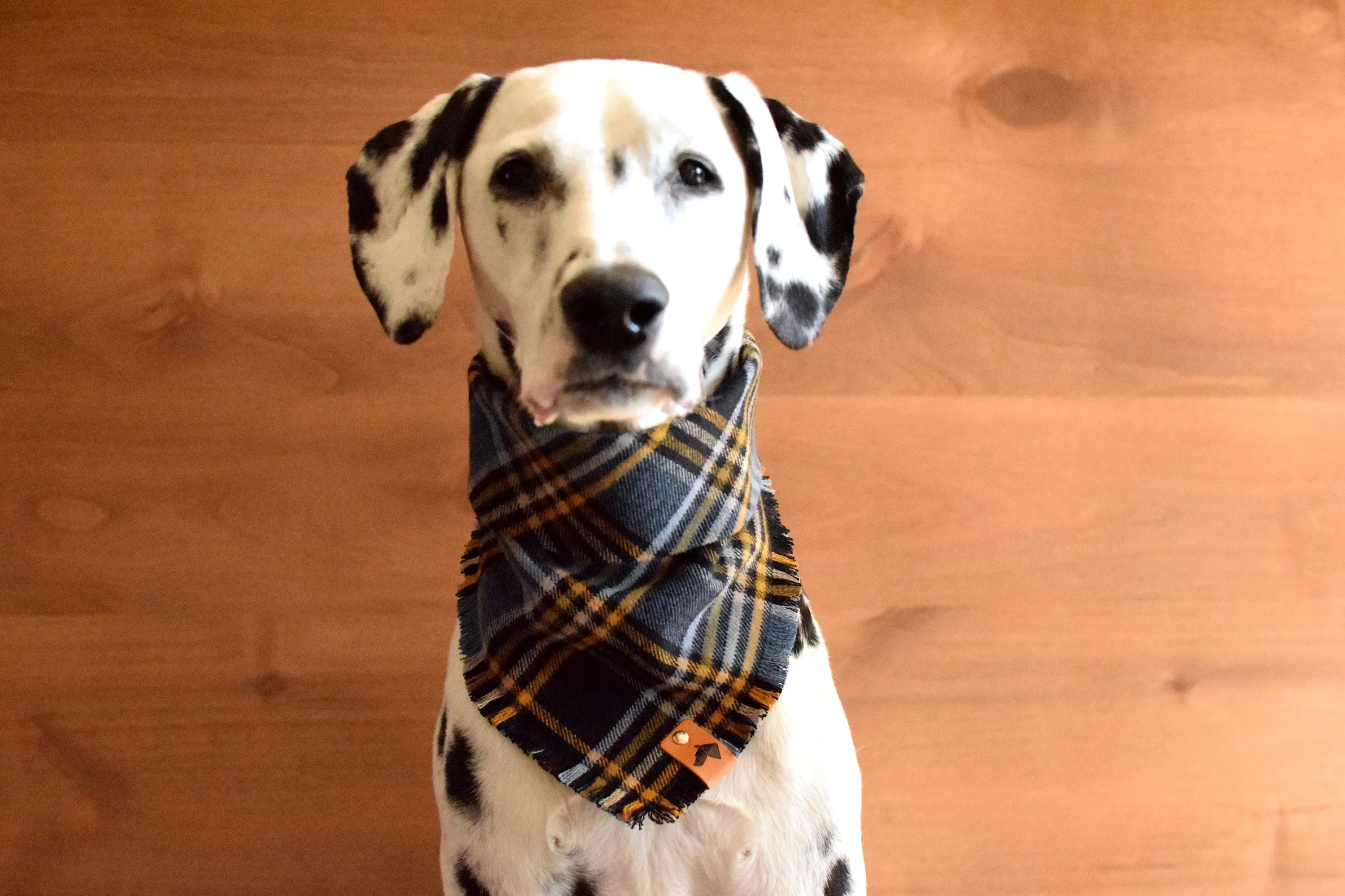 WARWICK Fringed Flannel Dog Bandana - Snap/Tie On Cotton Scarf