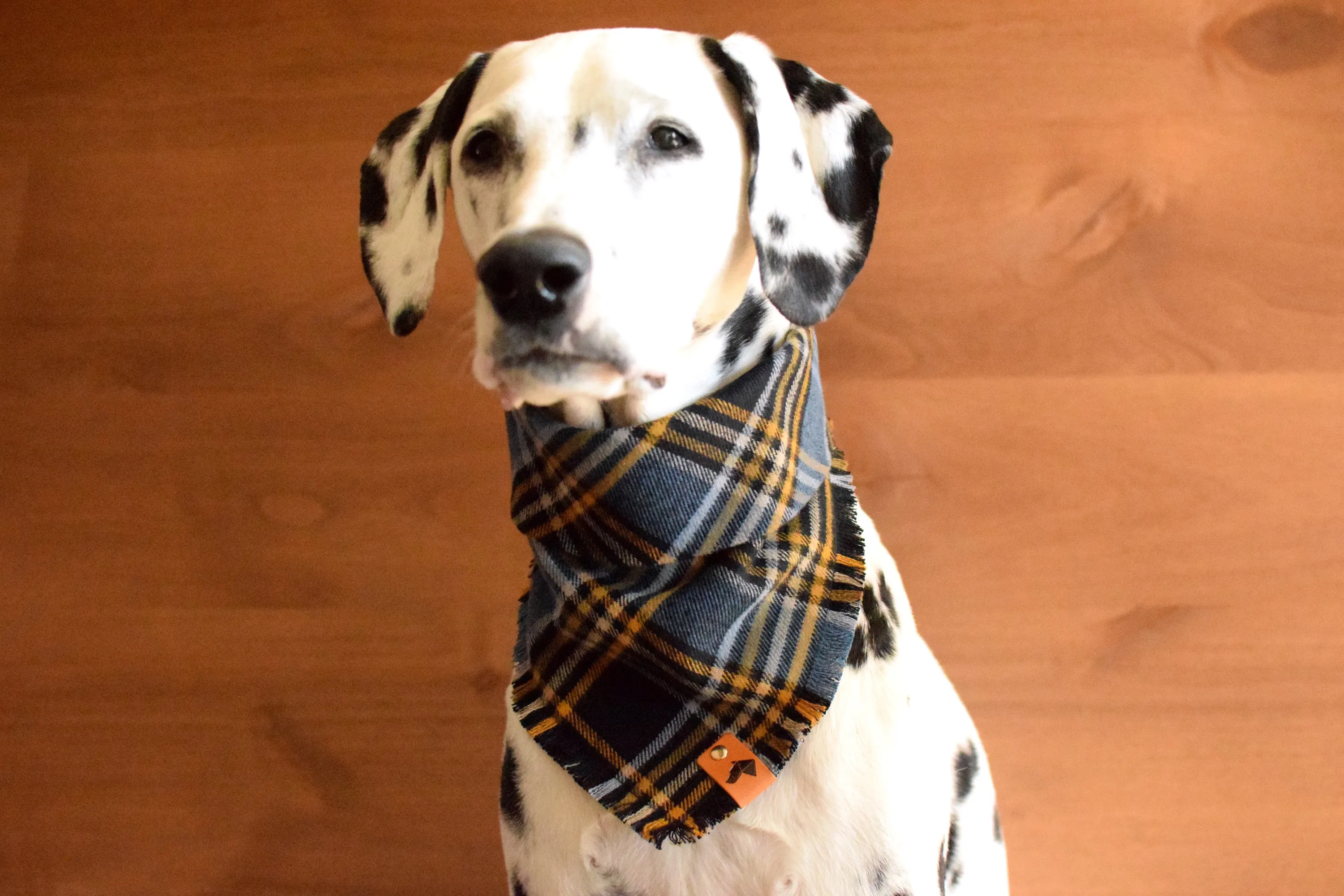 WARWICK Fringed Flannel Dog Bandana - Snap/Tie On Cotton Scarf
